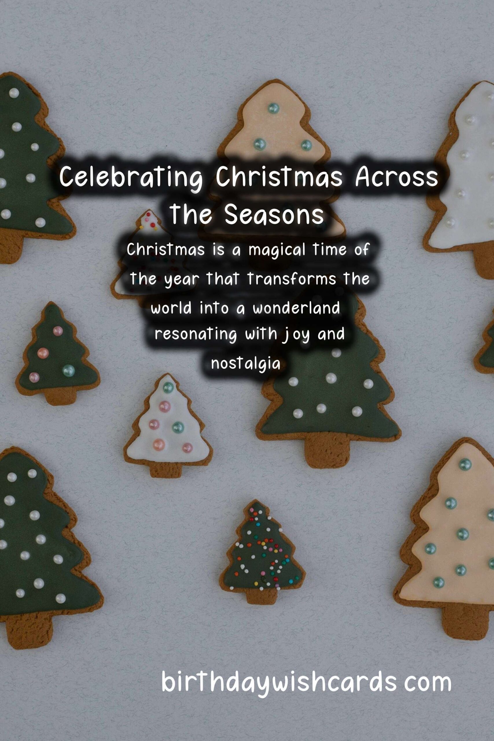What Makes Christmas Unique in Each Season
