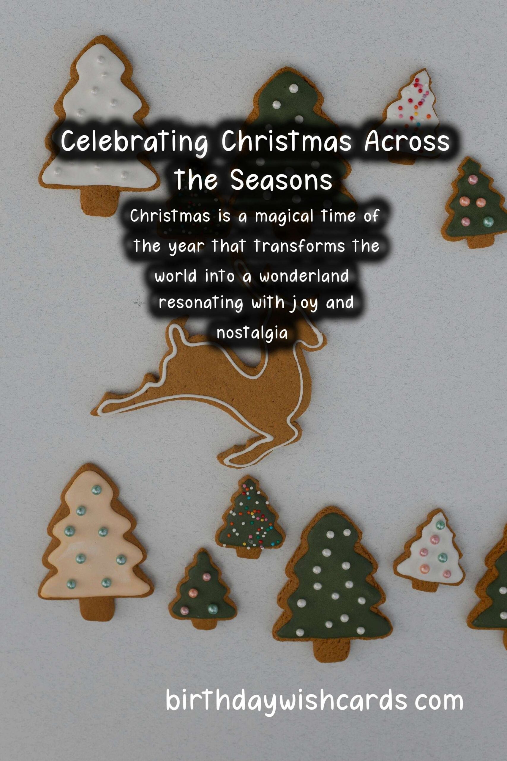 What Makes Christmas Unique in Each Season