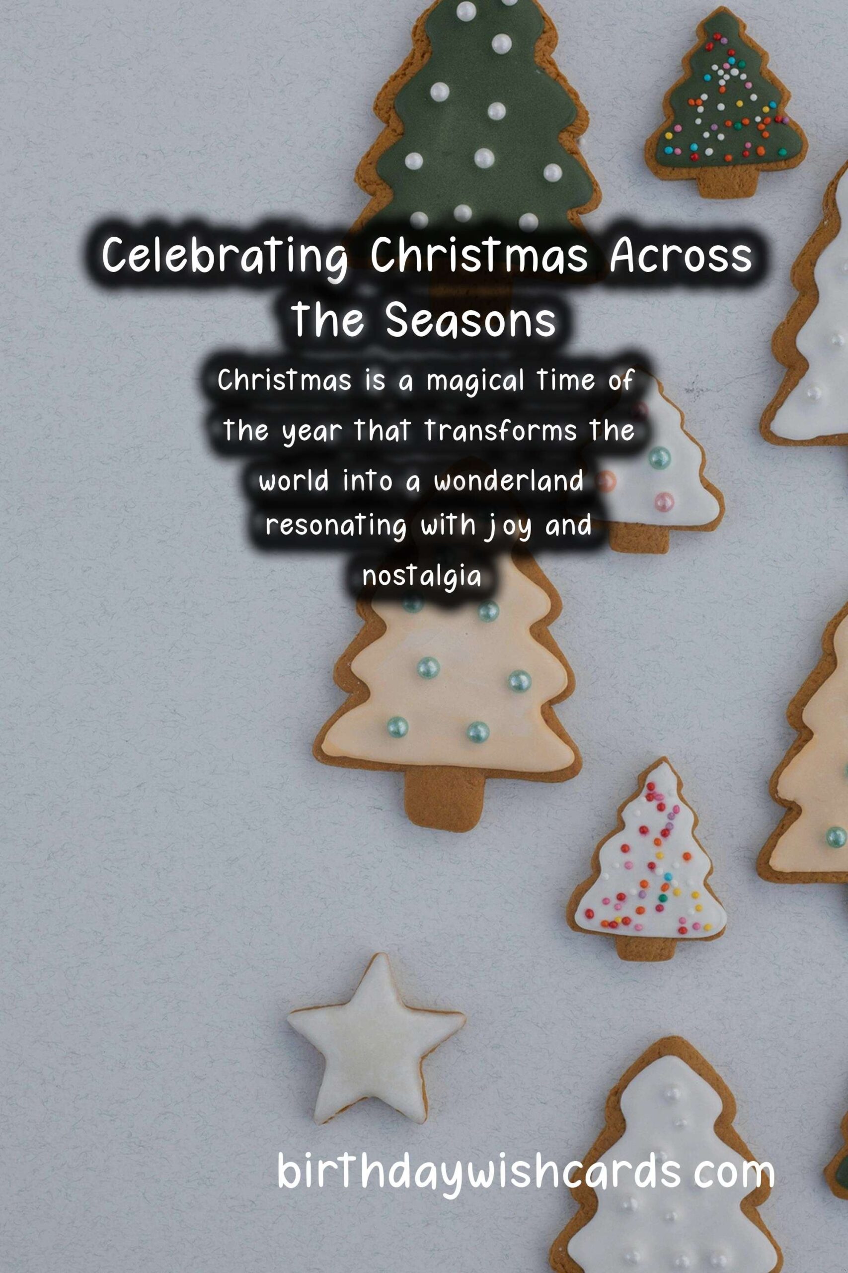 What Makes Christmas Unique in Each Season