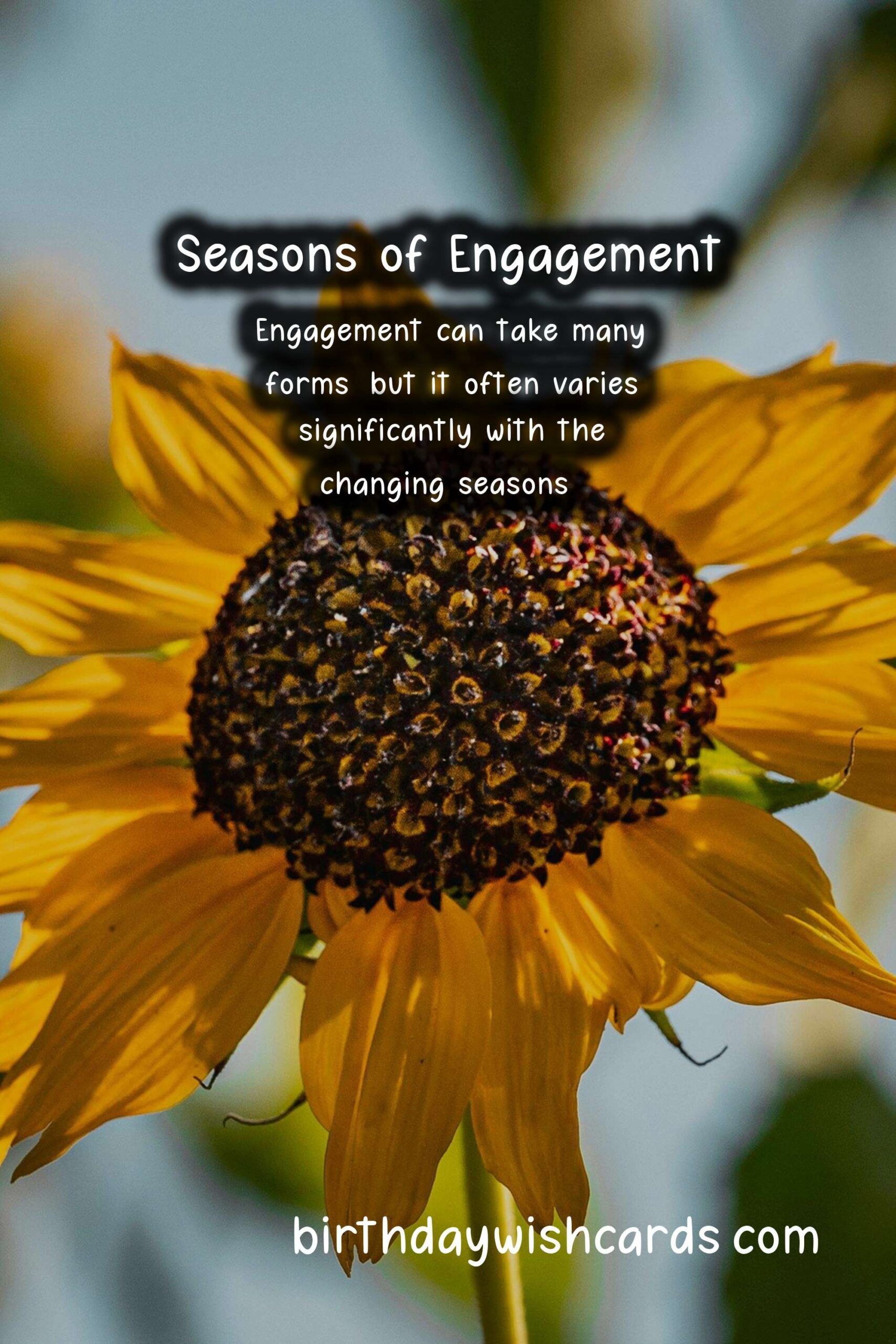 What Makes Engagement Unique in Each Season