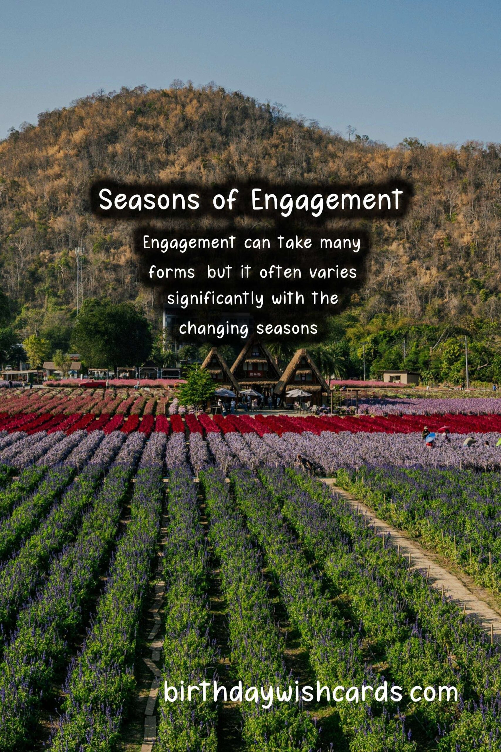 What Makes Engagement Unique in Each Season