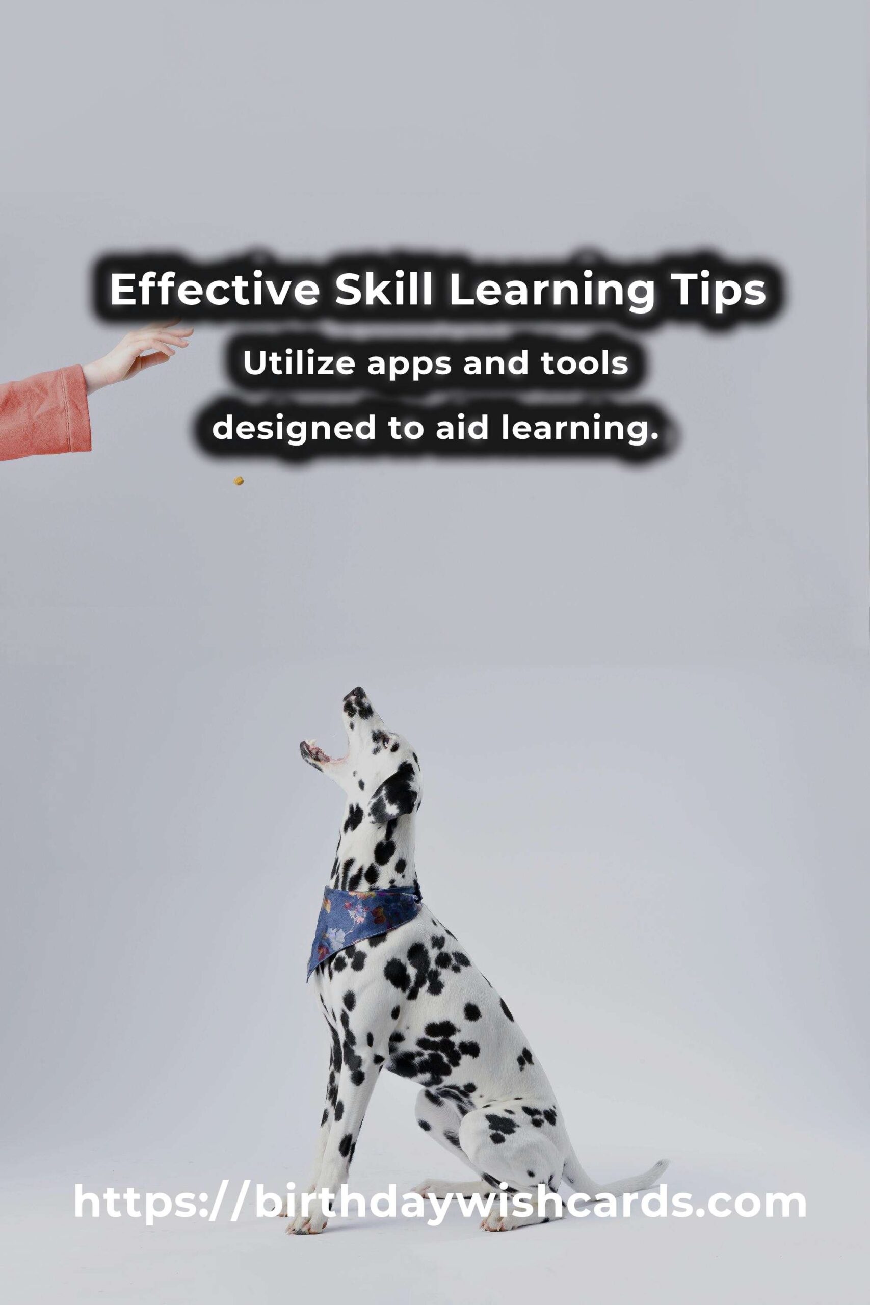 22 Tips for Effective Learning a New Skill