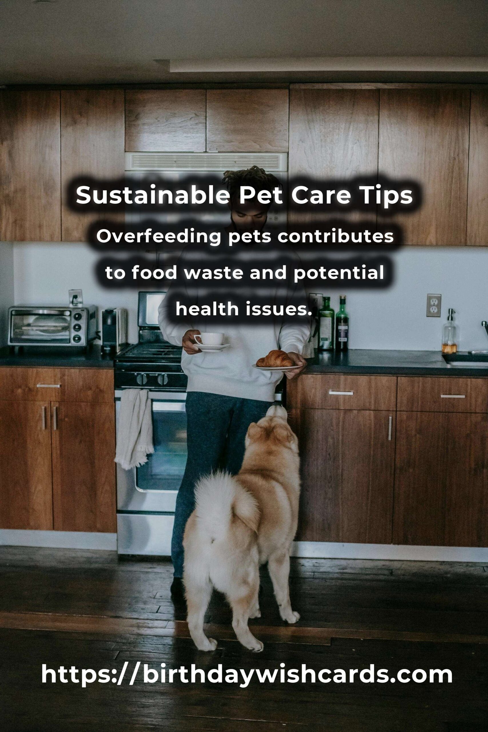 Common Mistakes in Sustainable Pet Care (and How to Avoid Them)
