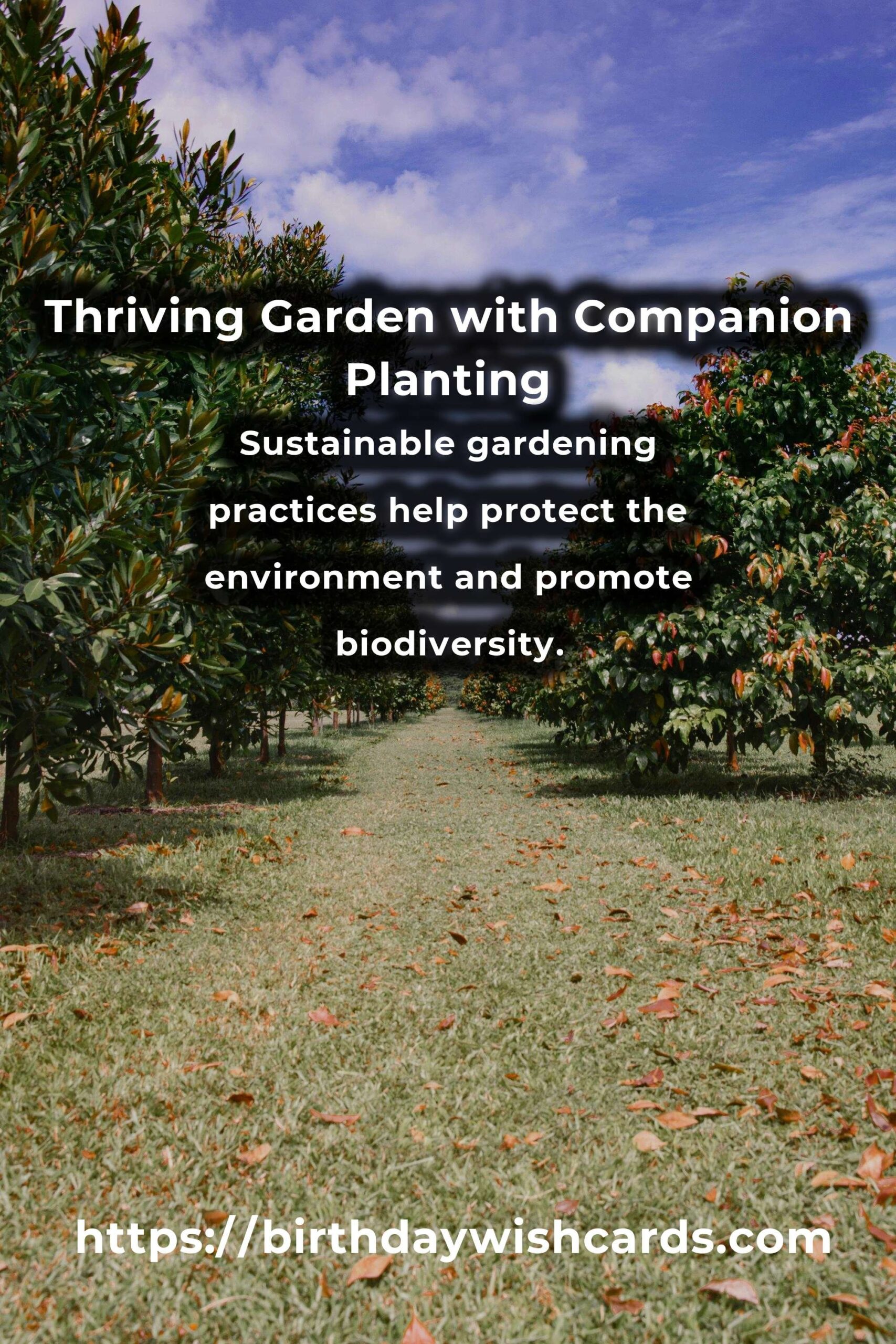 Comprehensive Gardening Tips and Principles for a Thriving Garden