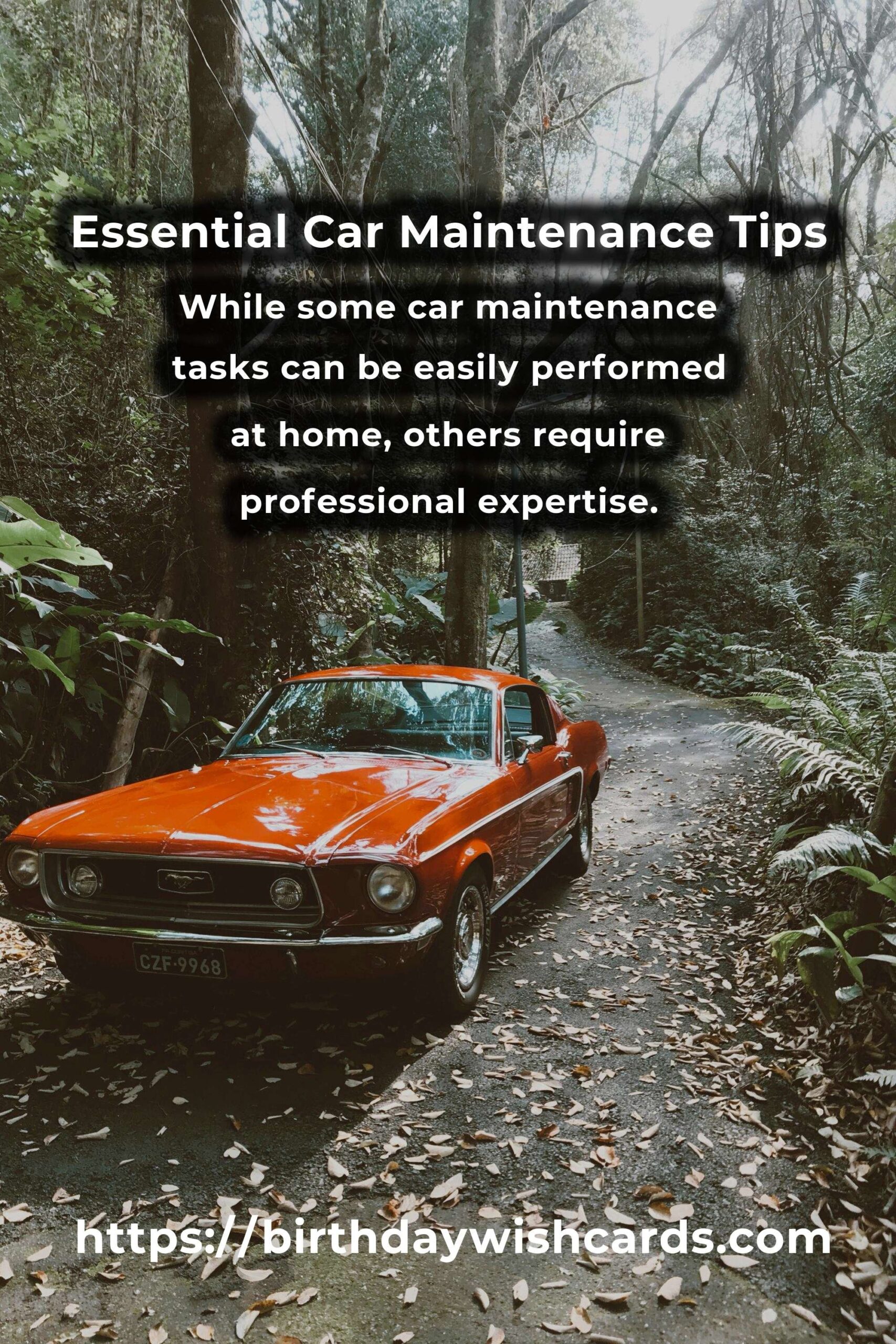 Demystifying Car Maintenance Ideas for Every Vehicle Owner