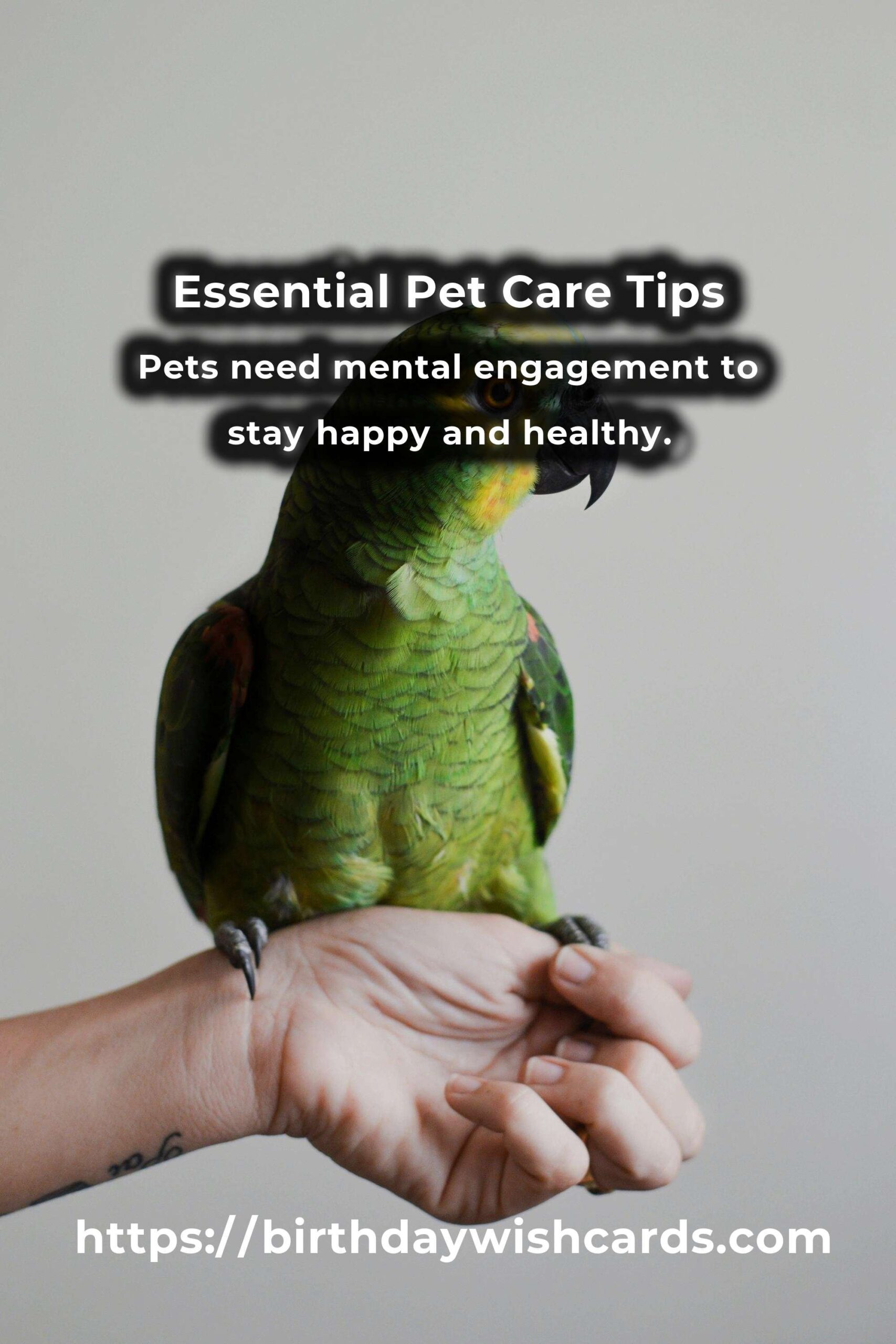 Demystifying Pet Care Methods: A Comprehensive Guide