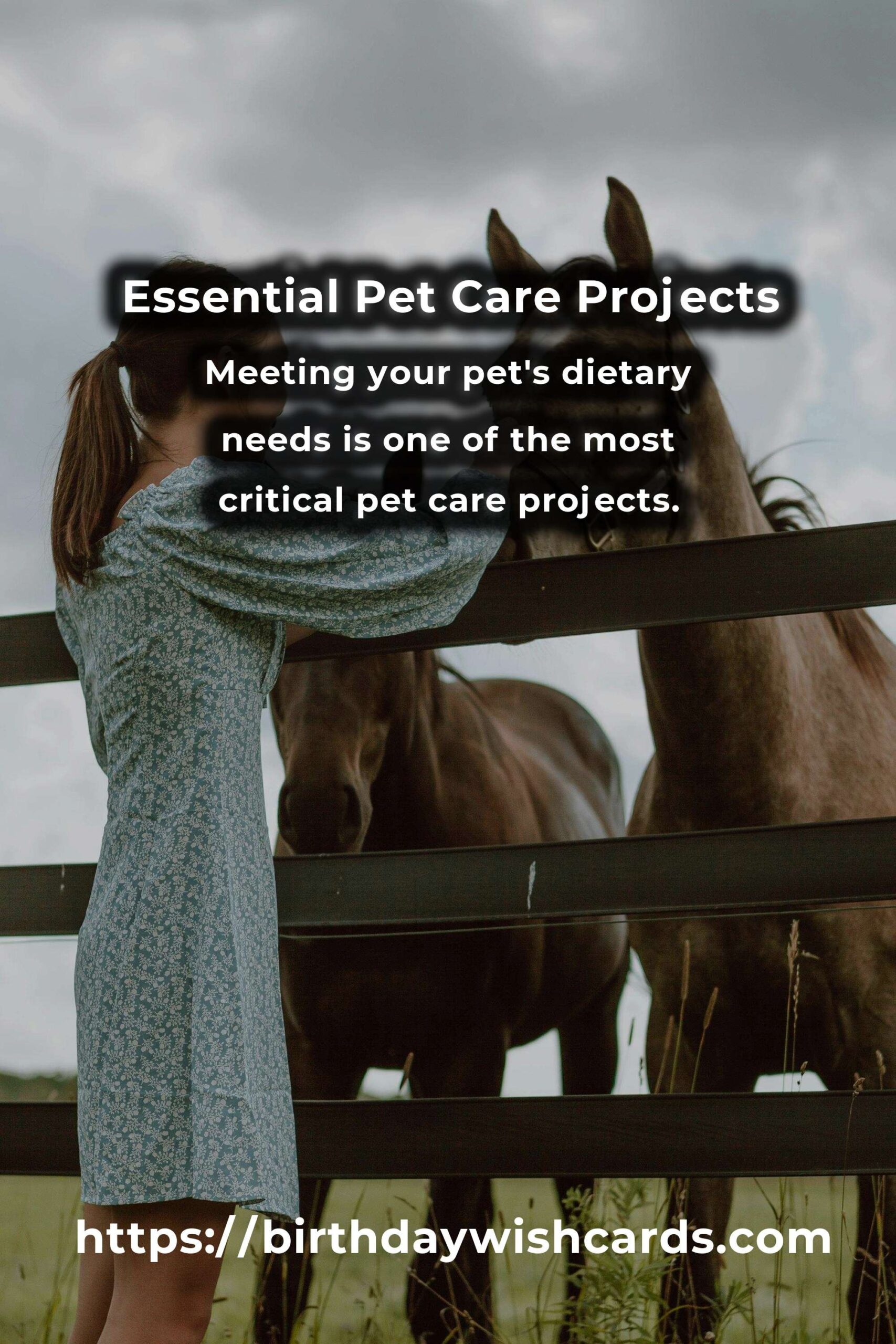 Demystifying Pet Care Projects: A Comprehensive Guide