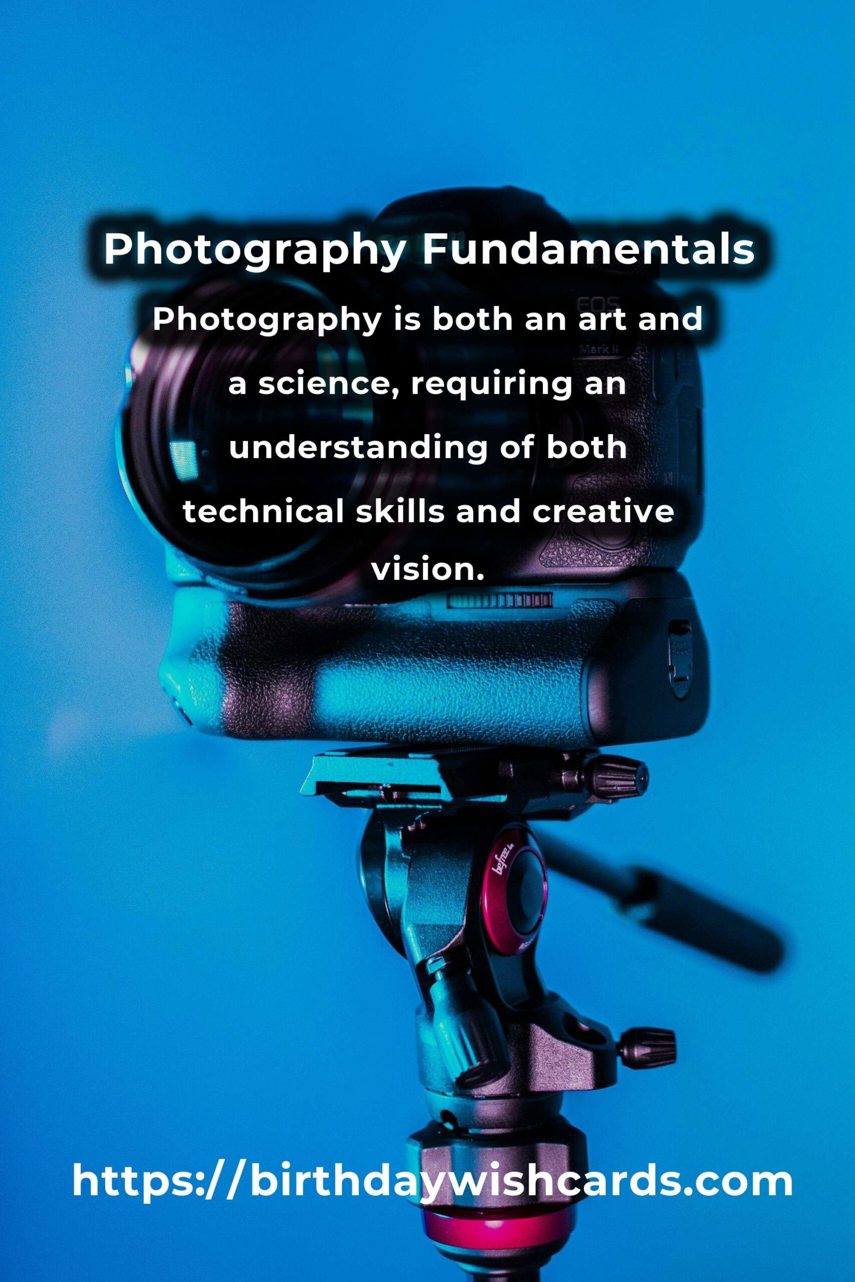 Demystifying Photography Fundamentals: Essential Ideas for Beginners