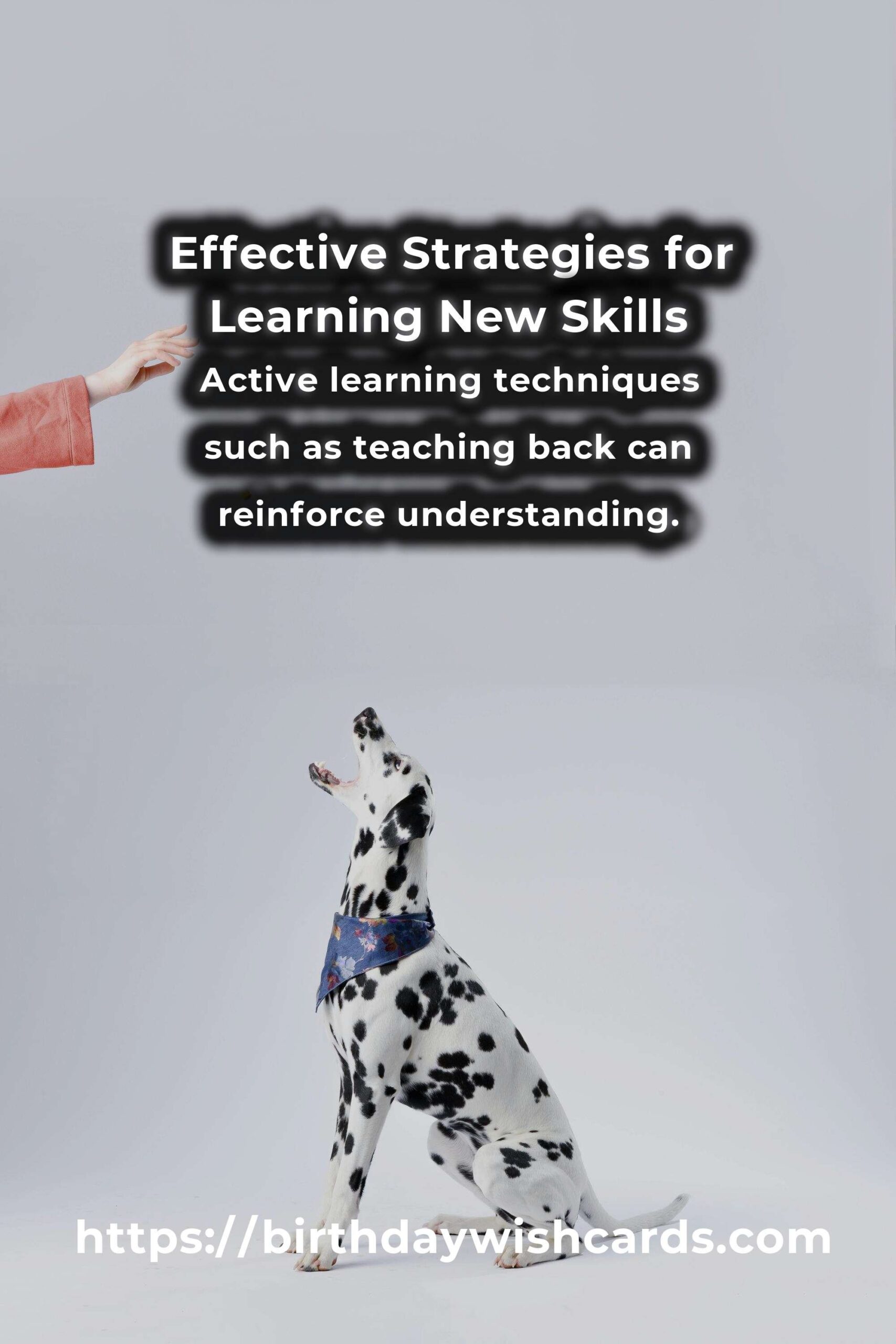 Demystifying Strategic Learning: Master a New Skill with Ease