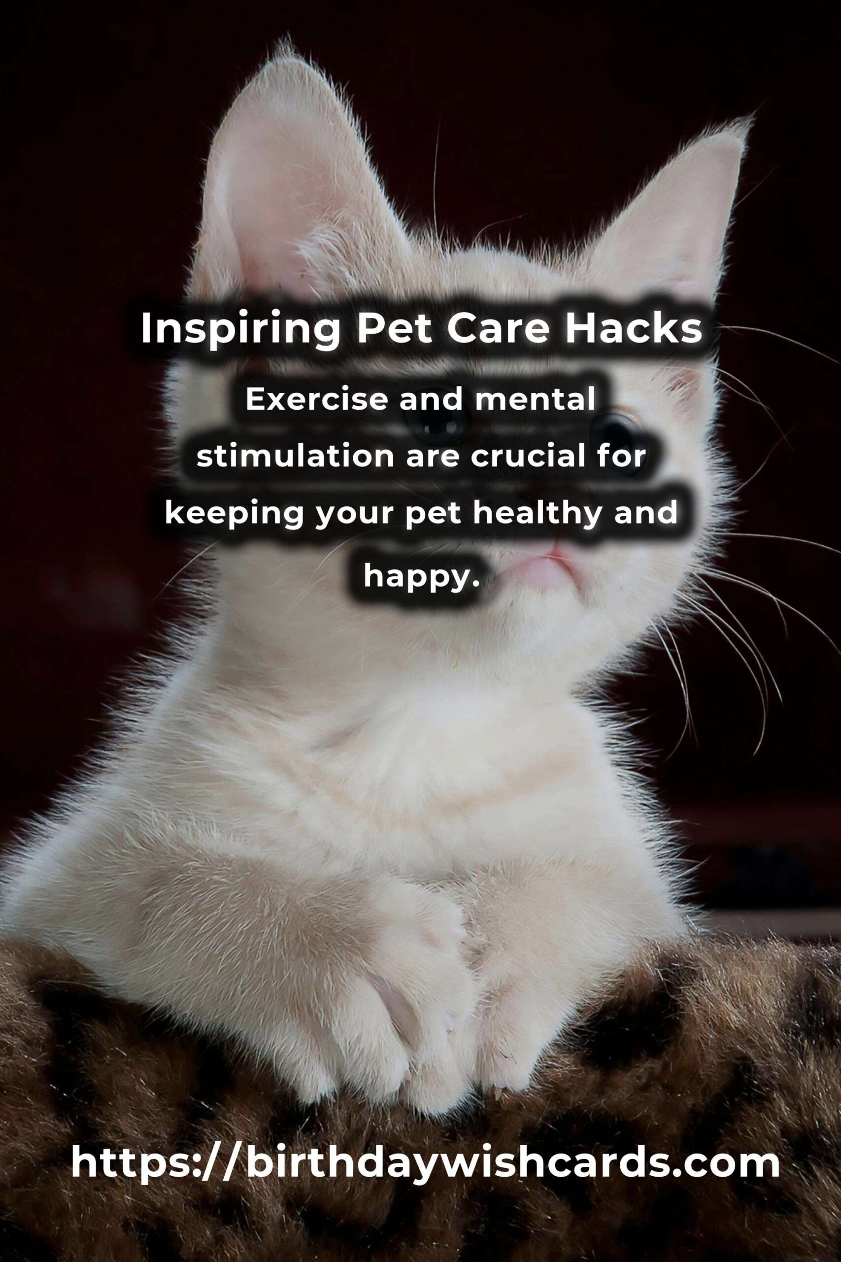Essential Inspiring Pet Care Hacks for Every Pet Owner