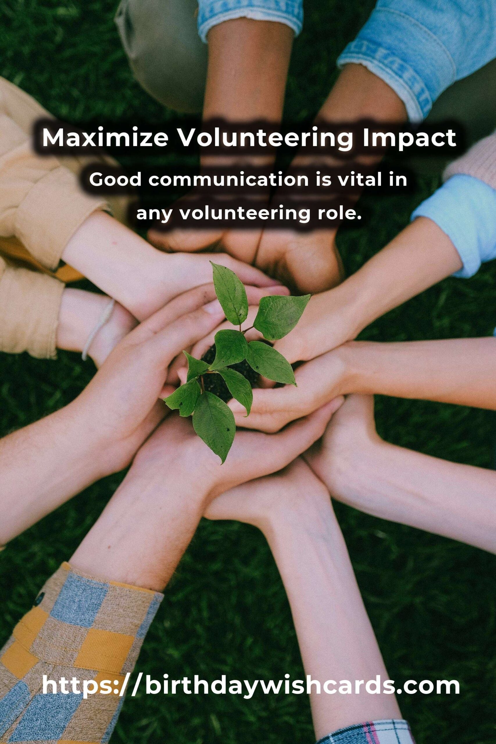 Essential Volunteering Strategies for Maximum Impact