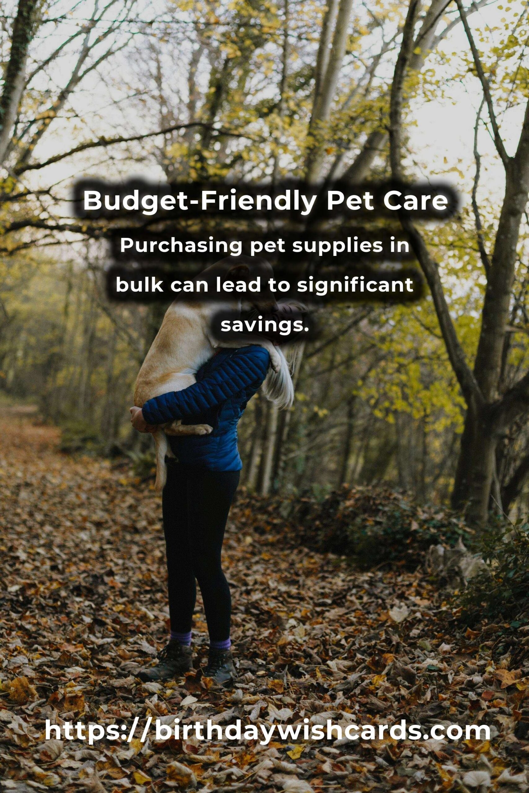 Expert Advice for Budget-Friendly Pet Care