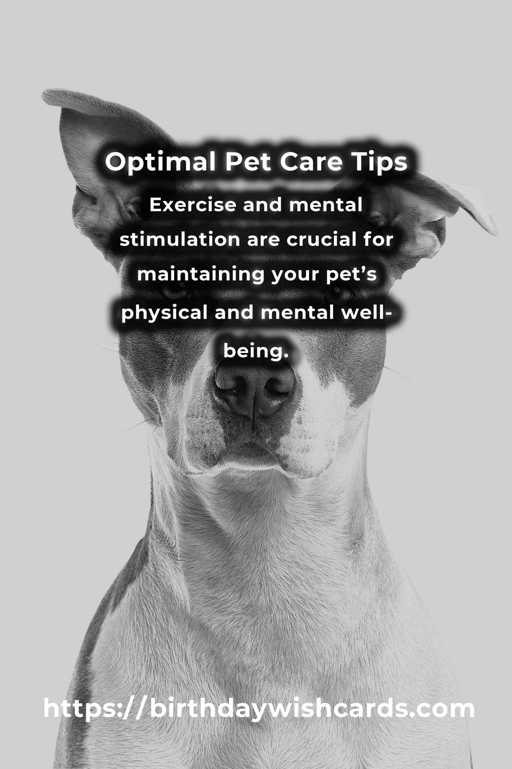 Expert Advice for Optimal Pet Care: Ensuring Your Furry Friend’s Well-being