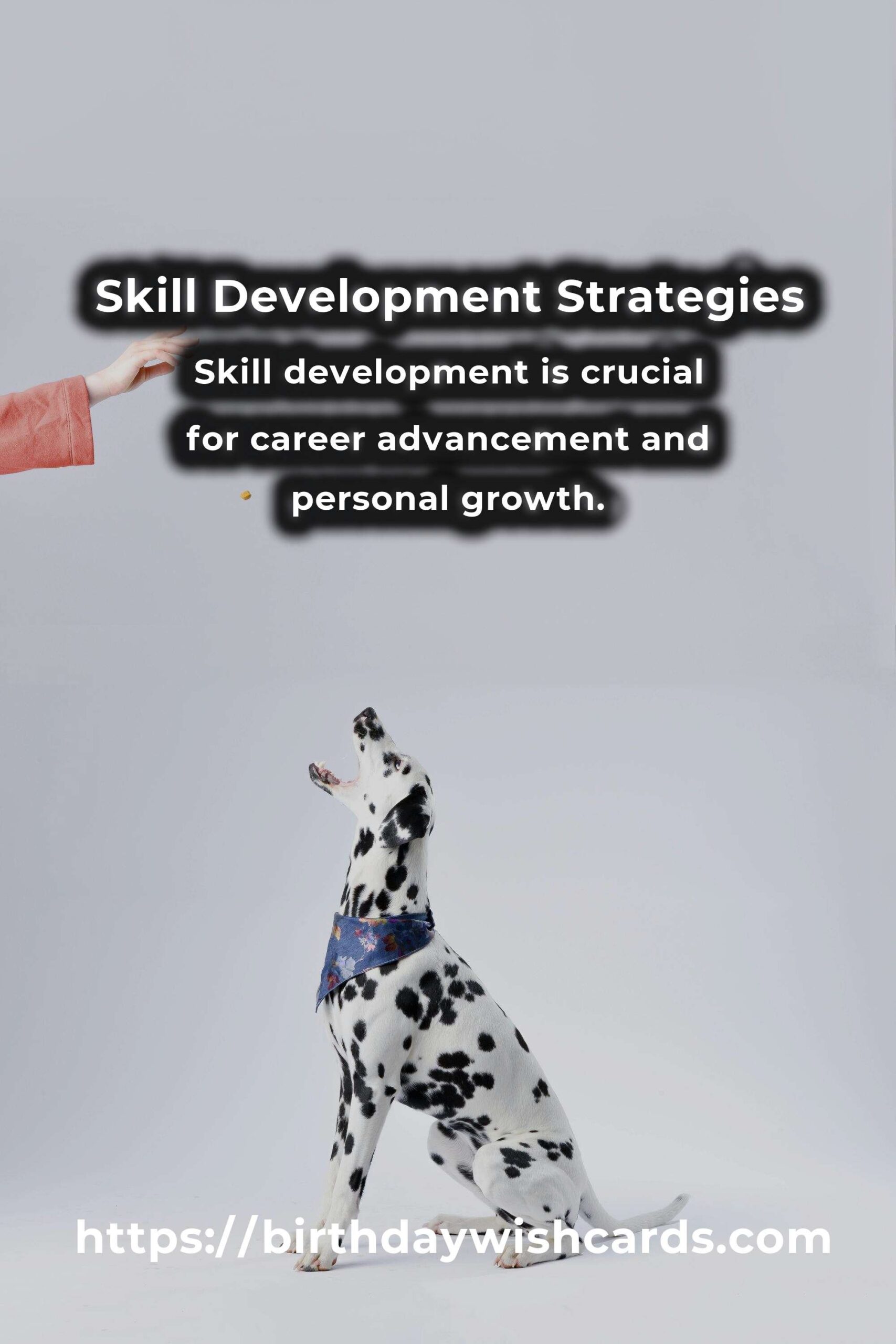 Expert Advice for Skill Development Solutions