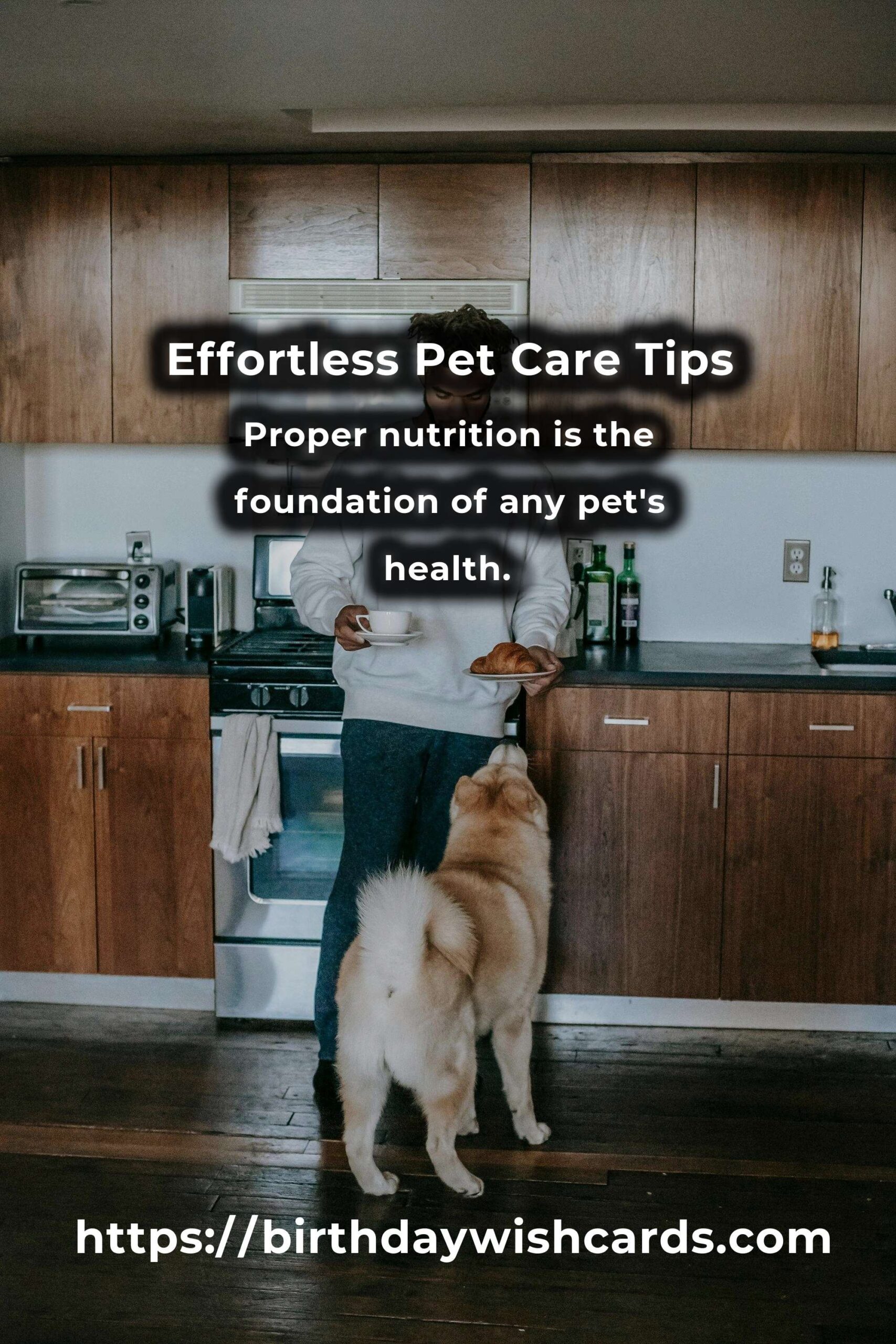 Expert Tips for Effortless Pet Care: Ensuring Happiness and Health