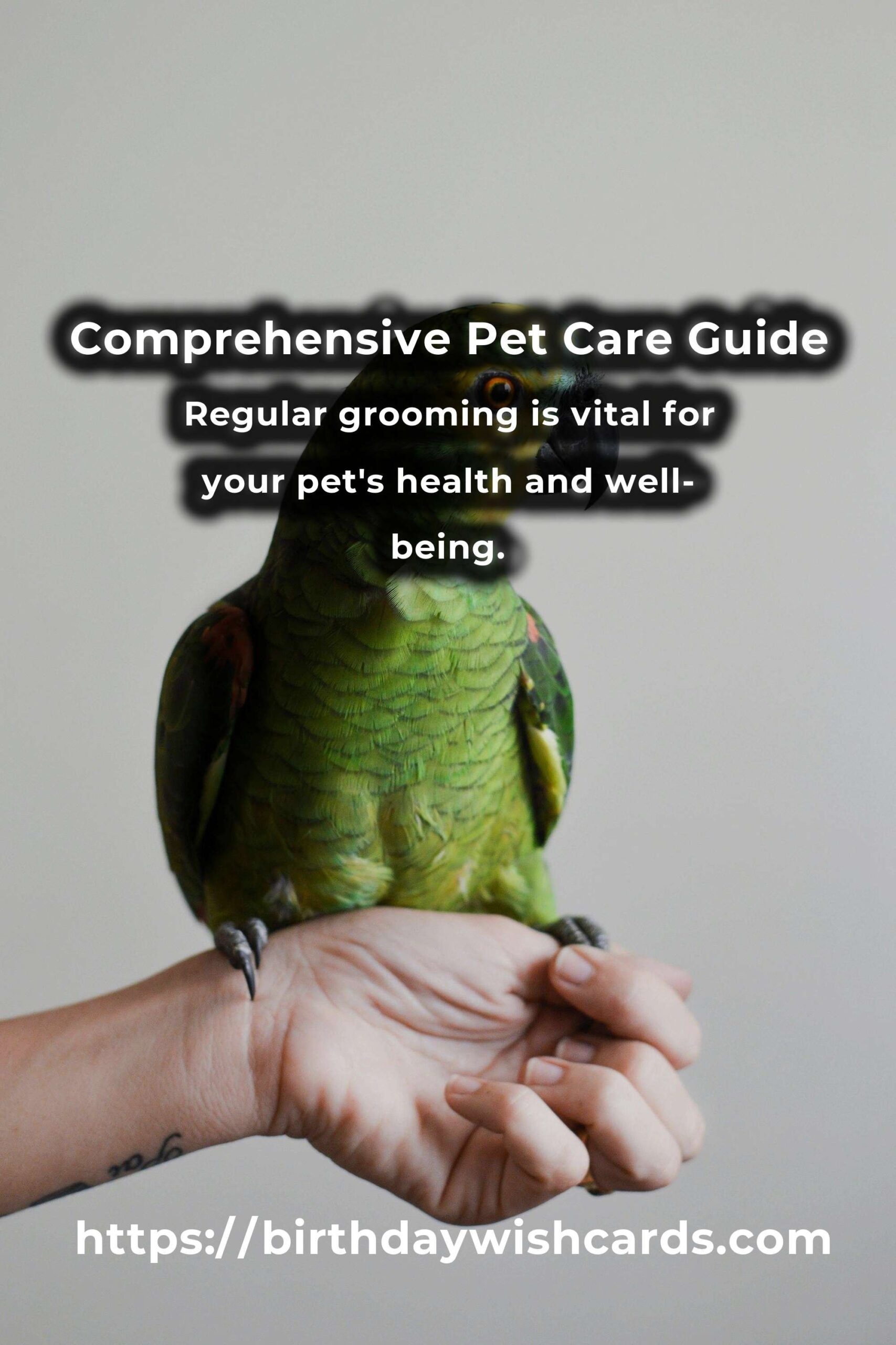 Mastering Effortless Pet Care: A Comprehensive Guide