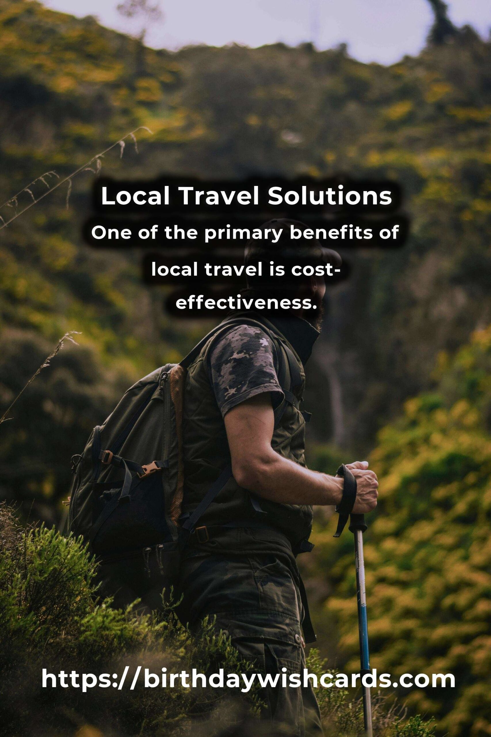 Mastering Local Travel Solutions: A Comprehensive Guide