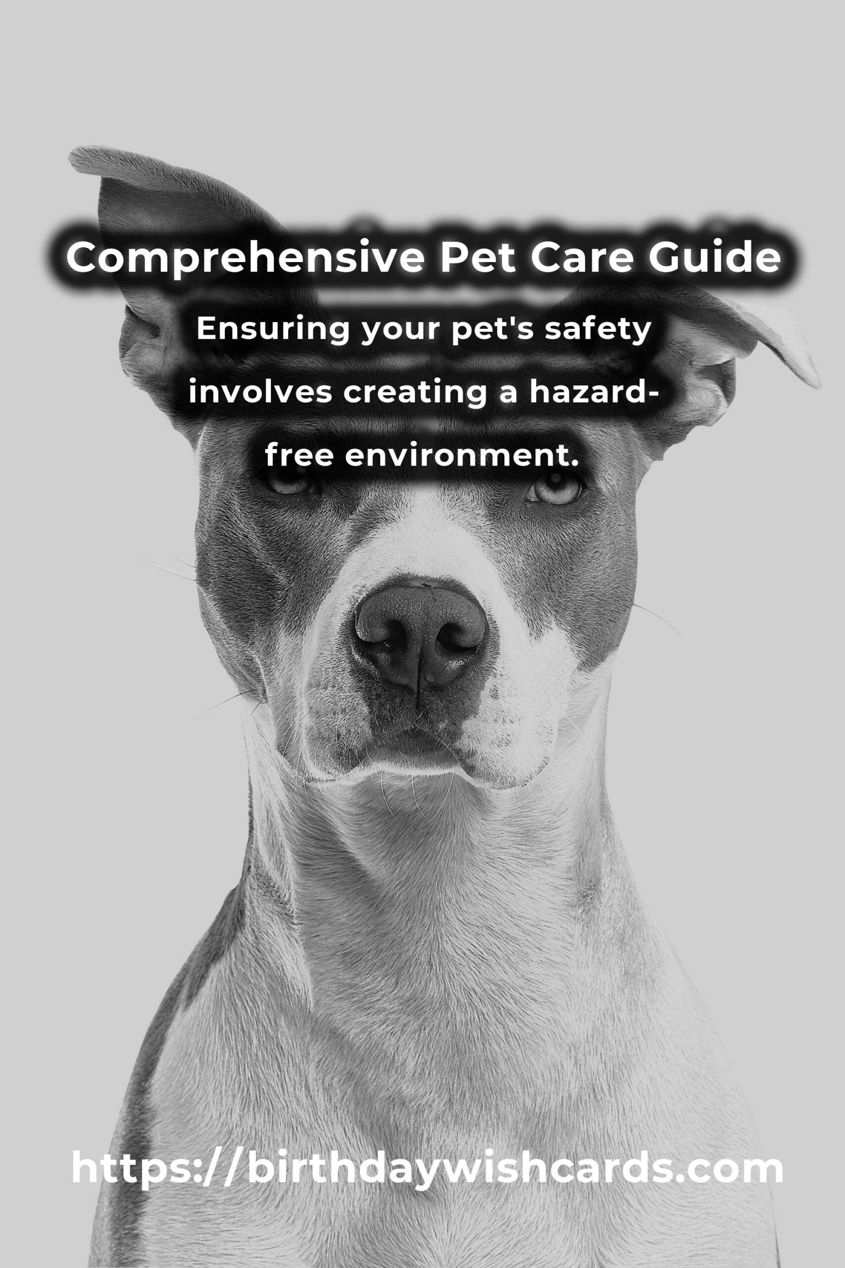 Mastering Pet Care Concepts: A Comprehensive Guide