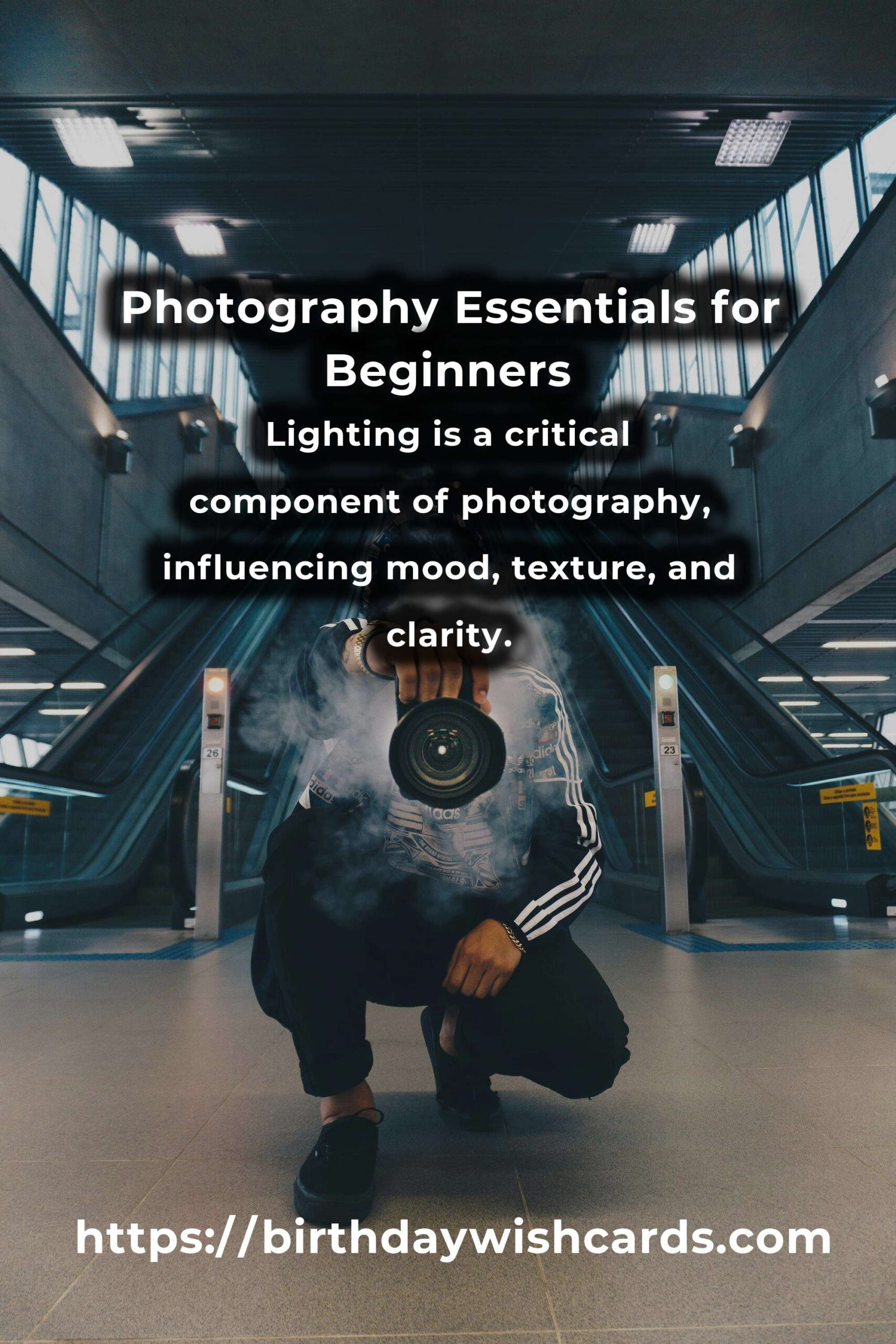 Mastering Photography Fundamentals: Expert Insights for Beginners