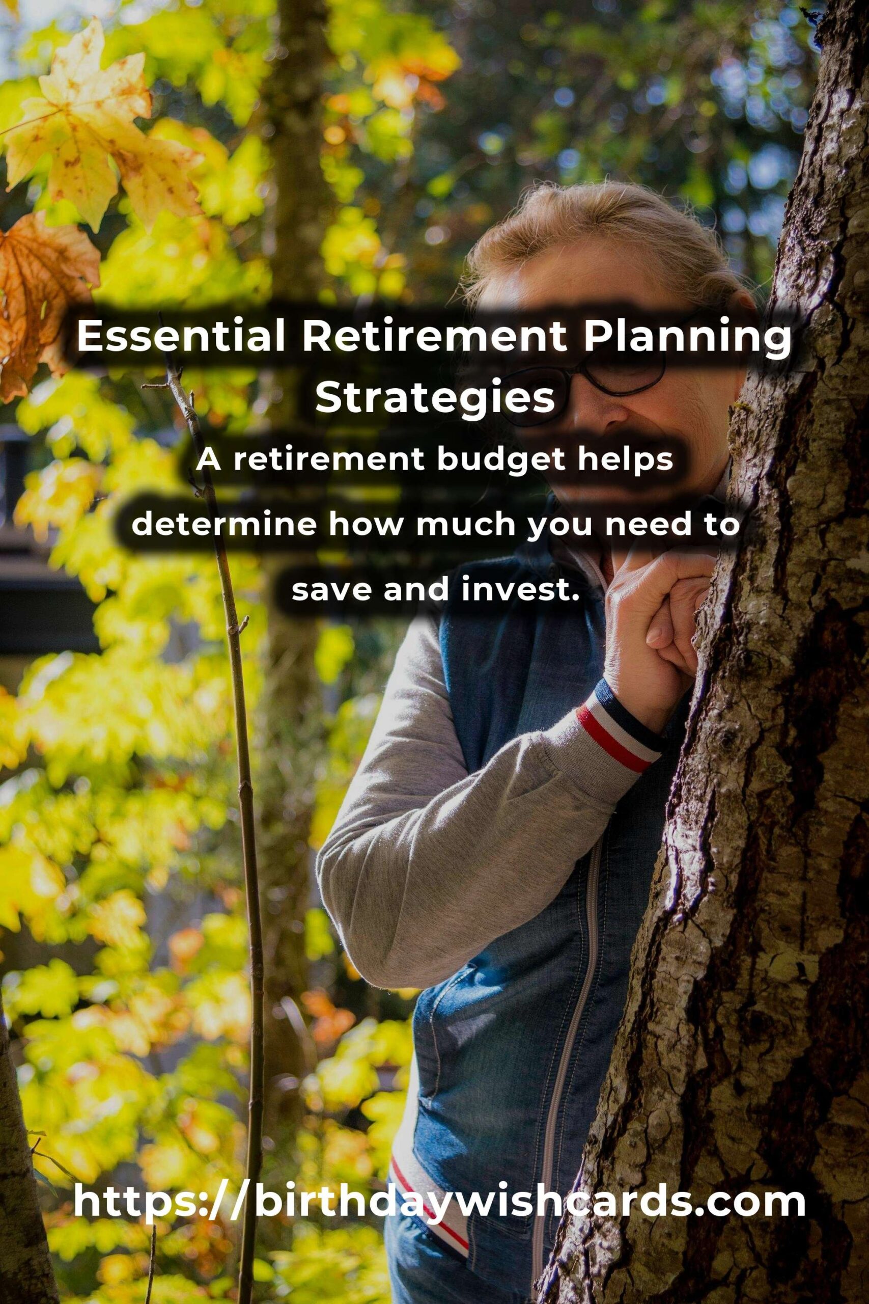 Mastering Retirement Planning Ideas: A Comprehensive Guide