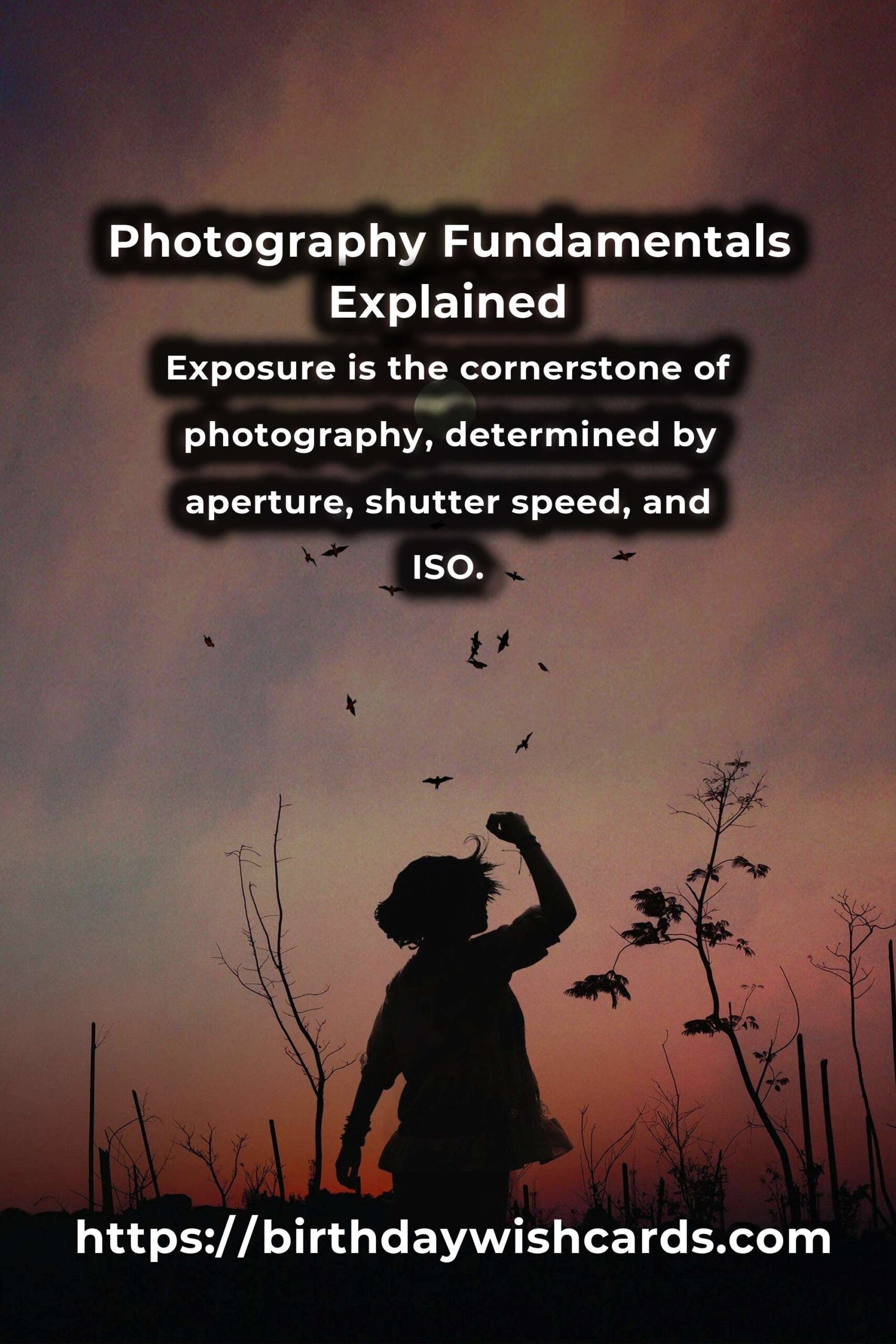 Mastering the Essential Photography Fundamentals: Blueprints and Hacks