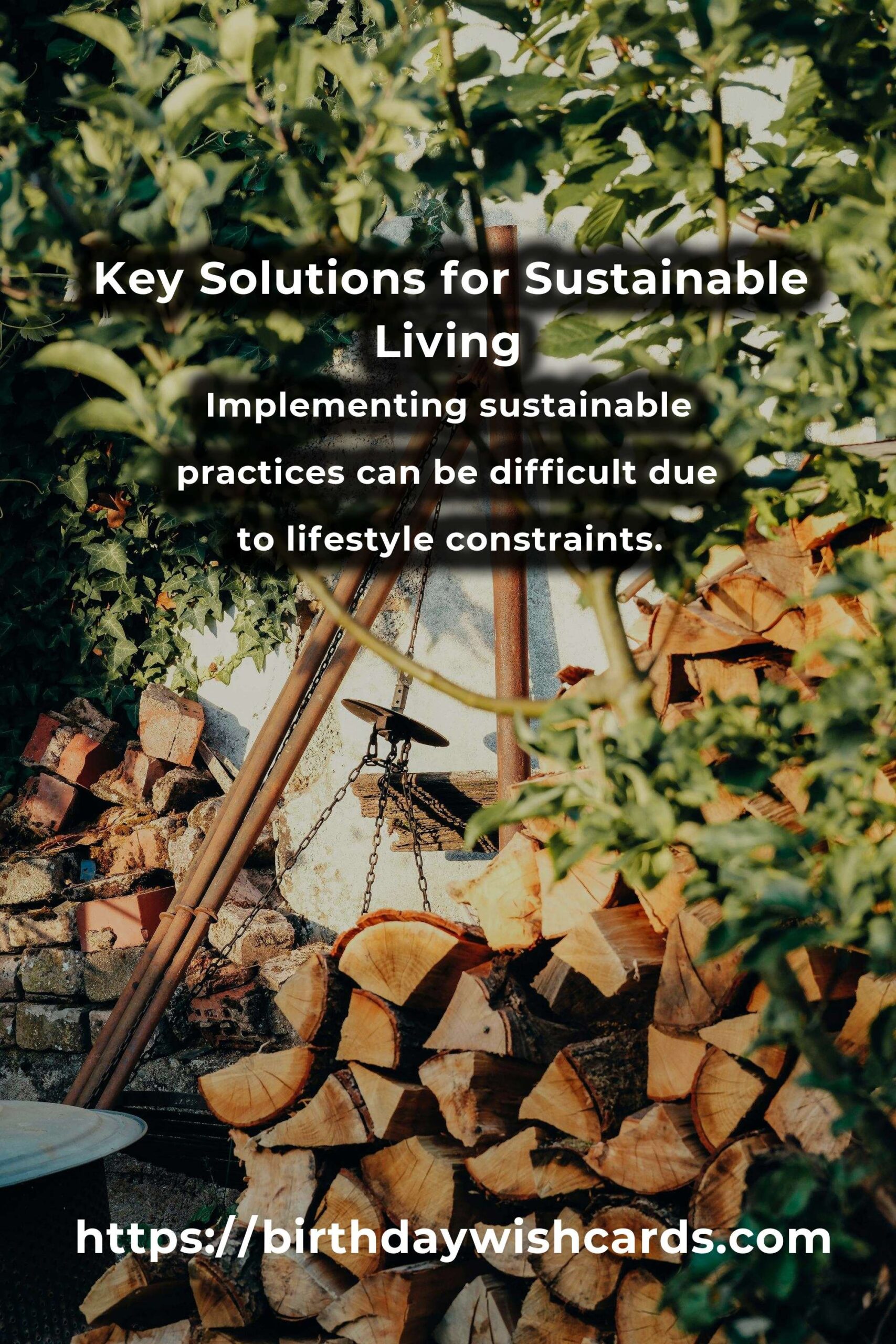 Solving Common Sustainable Living Insights Problems