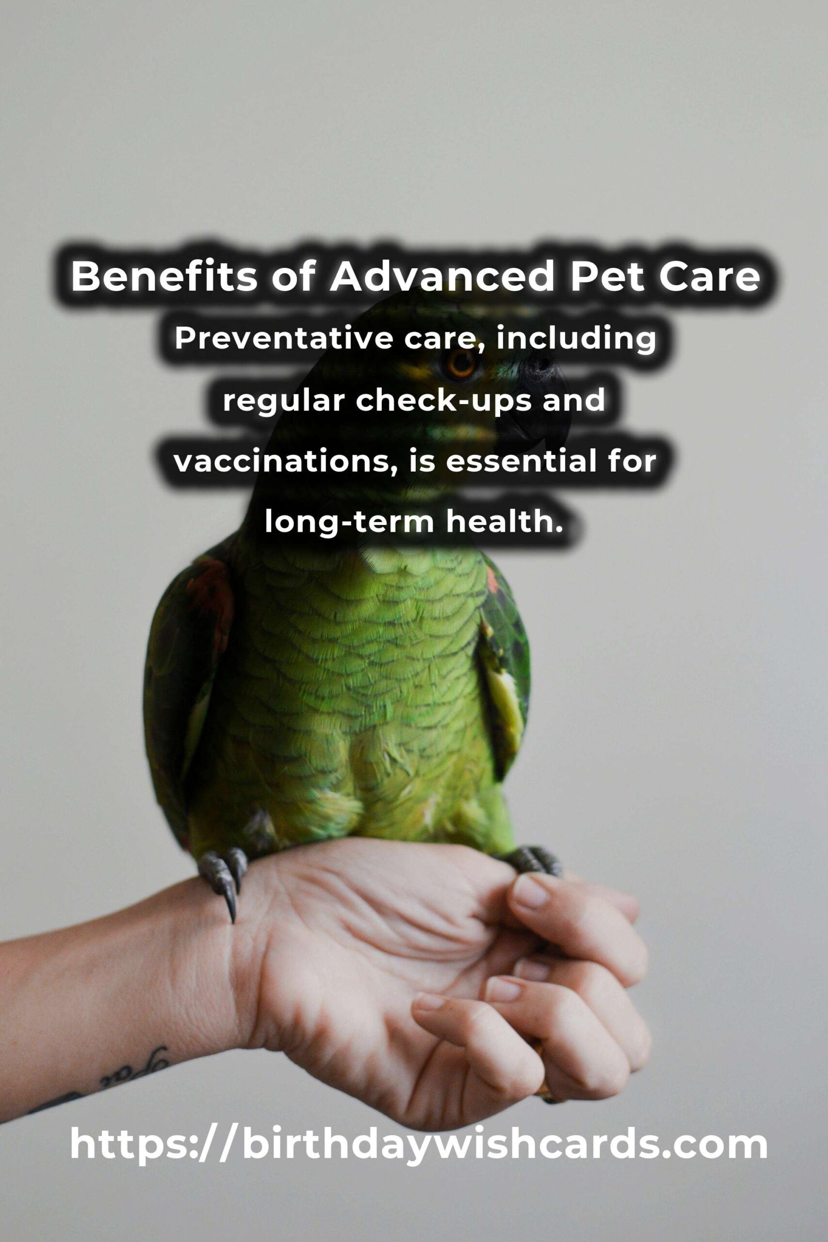 The Hidden Benefits of Advanced Pet Care for Your Furry Friends
