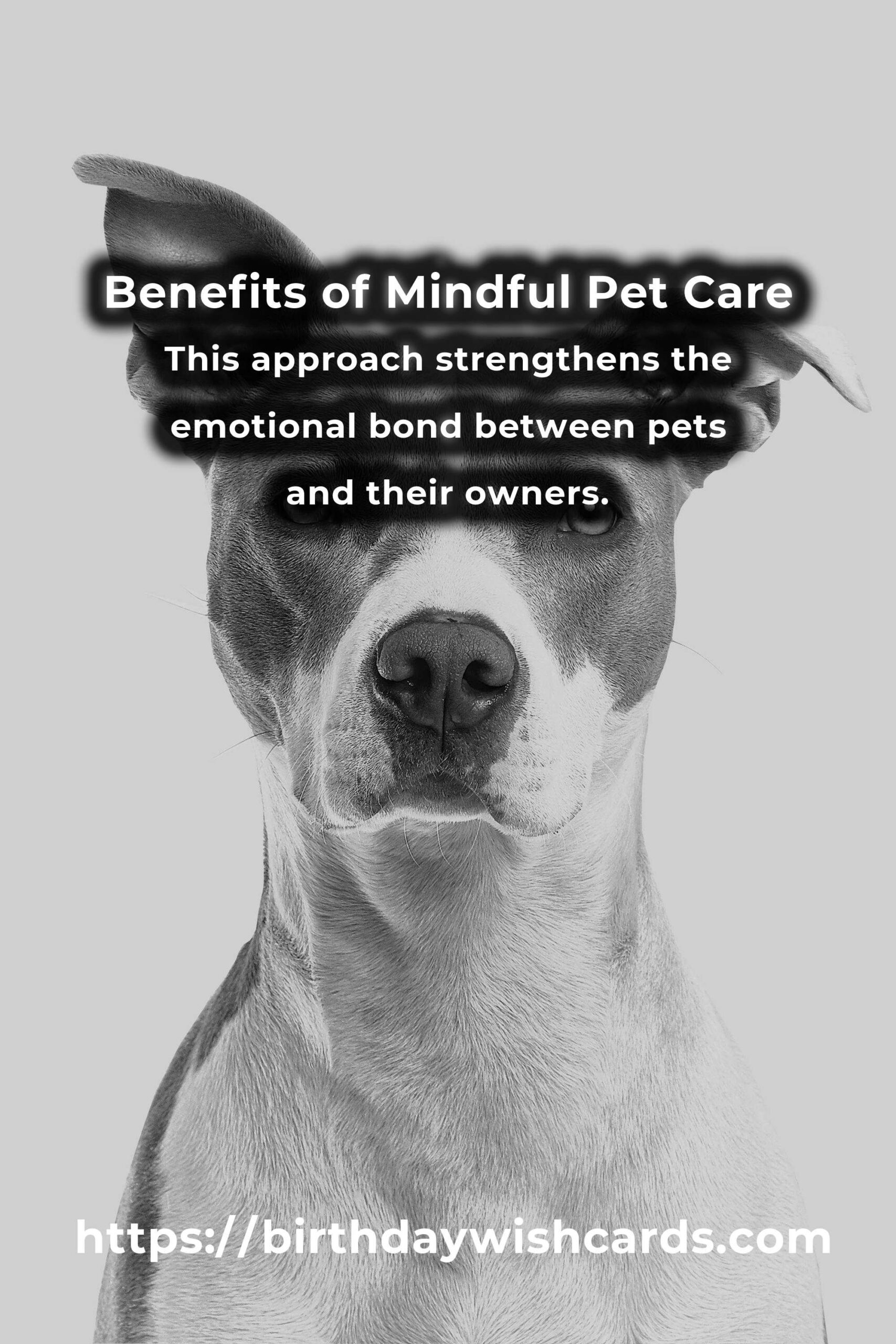 The Hidden Benefits of Mindful Pet Care