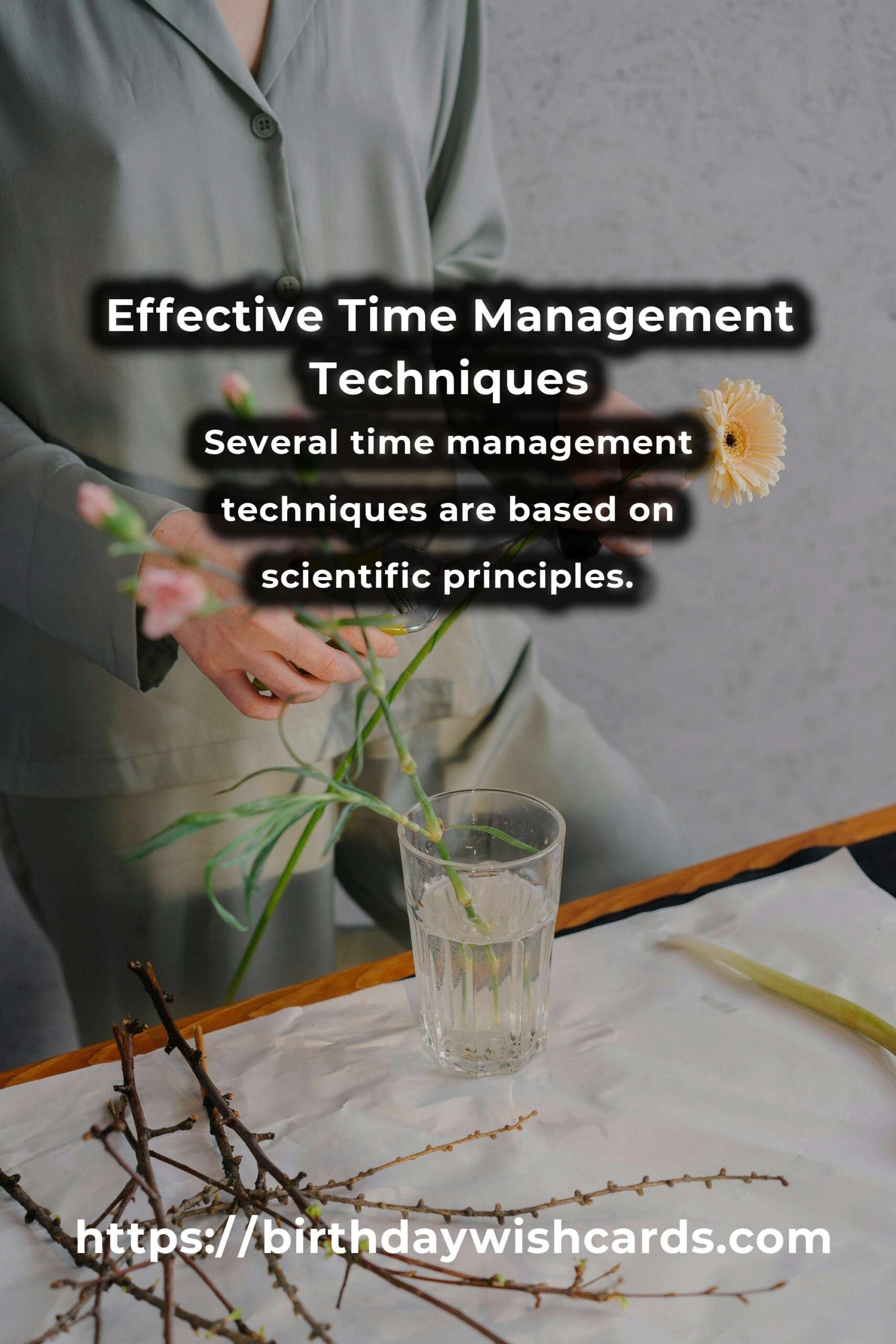 The Science Behind Effective Time Management Insights