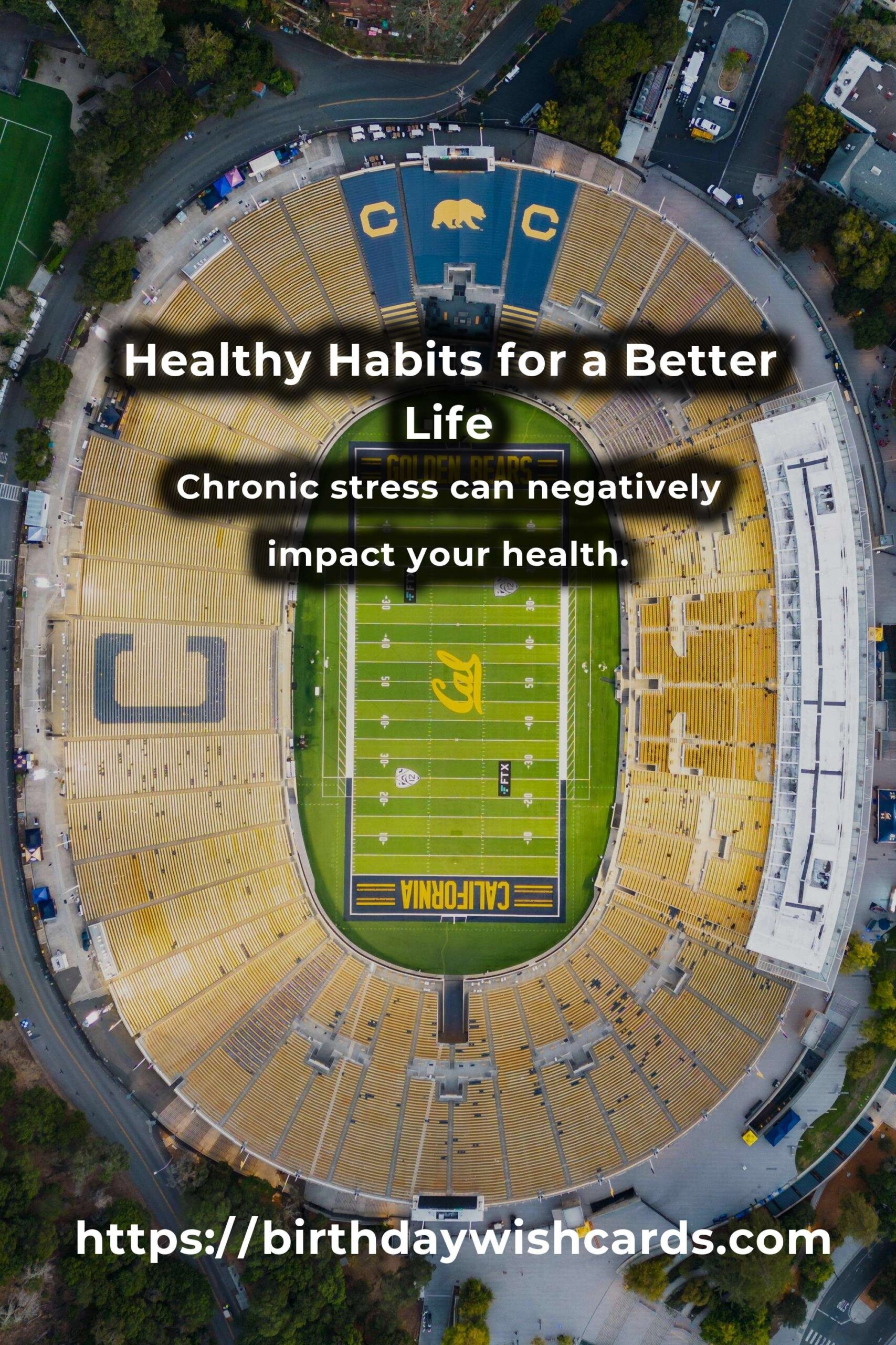 The Ultimate Guide to Healthy Habits Solutions