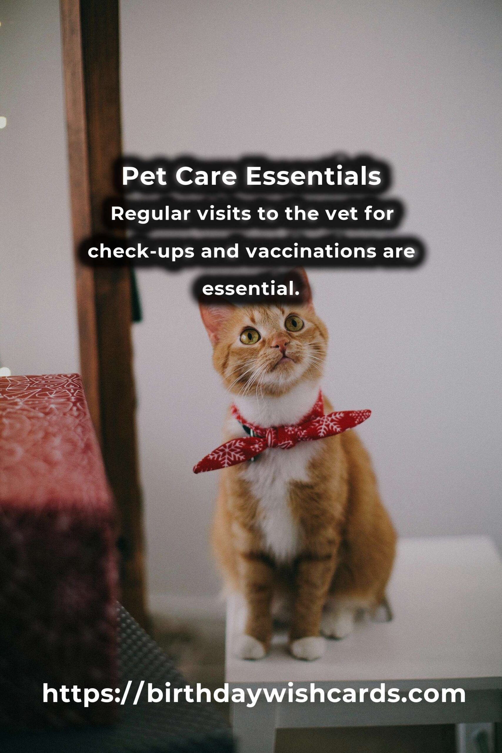 Top 20 Pet Care Blueprints for a Healthier and Happier Pet