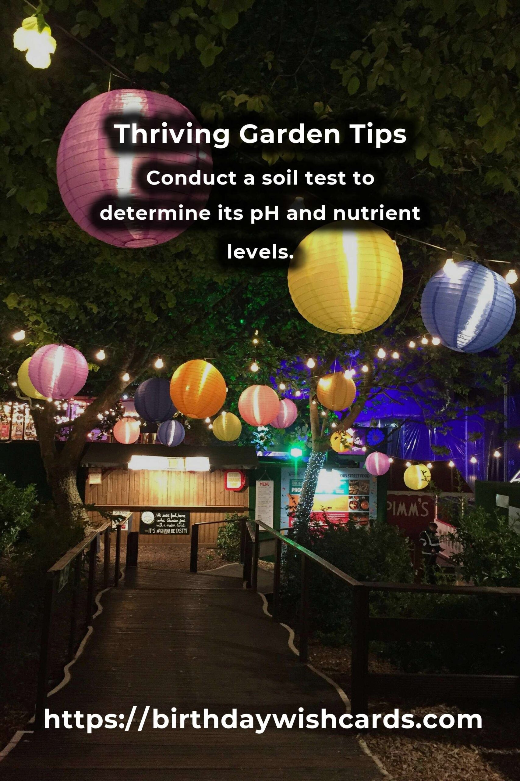 Top 24 Proven Gardening Tips for a Thriving Garden
