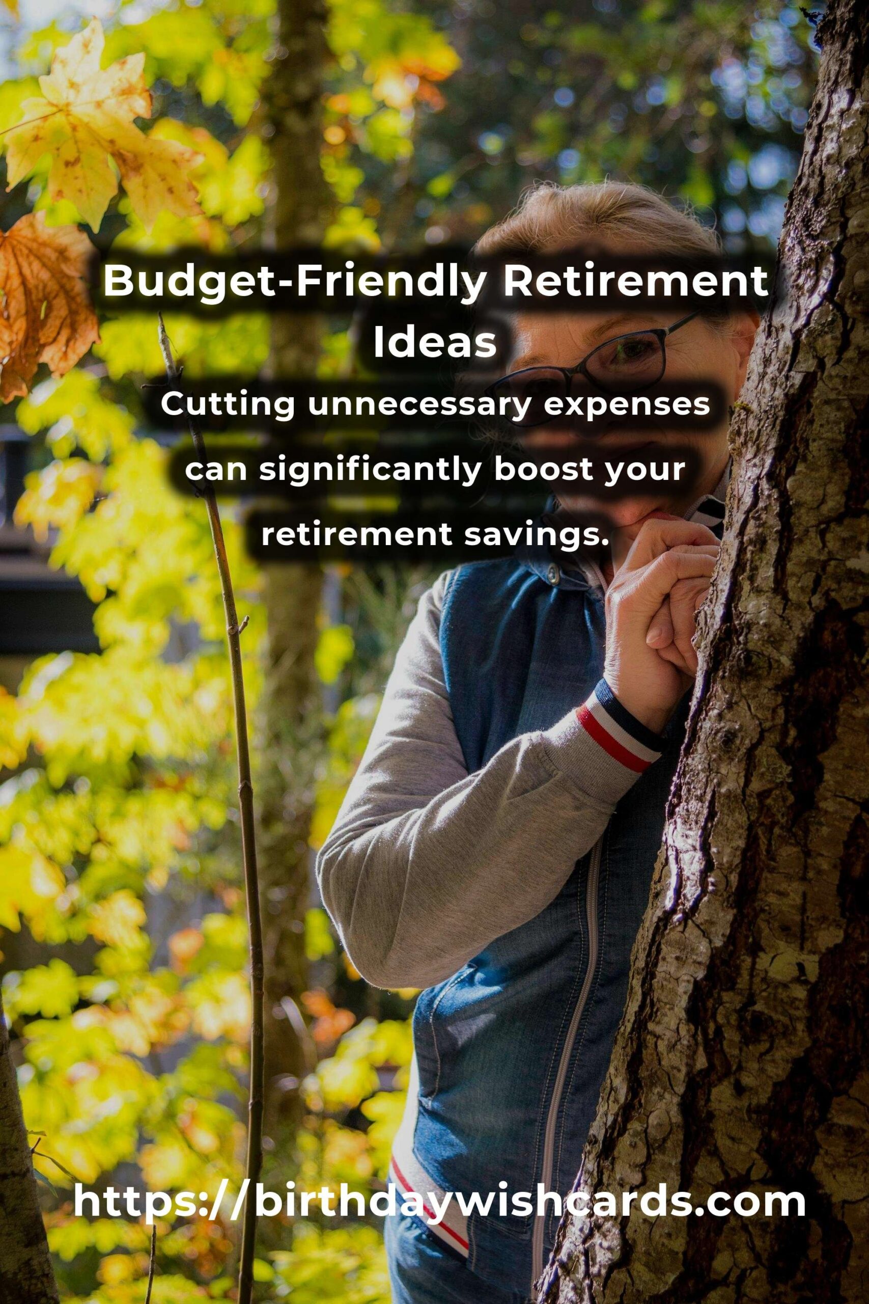 Top 5 Budget-Friendly Retirement Planning Ideas