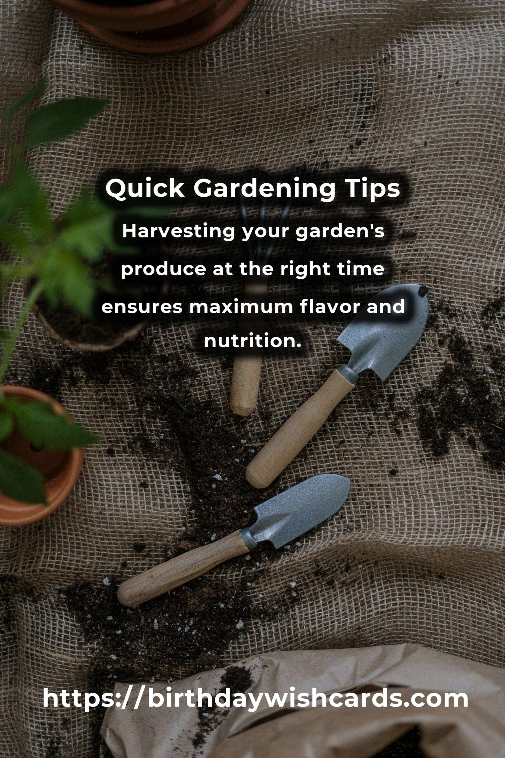 Transform Your Life with Quick Gardening Tips