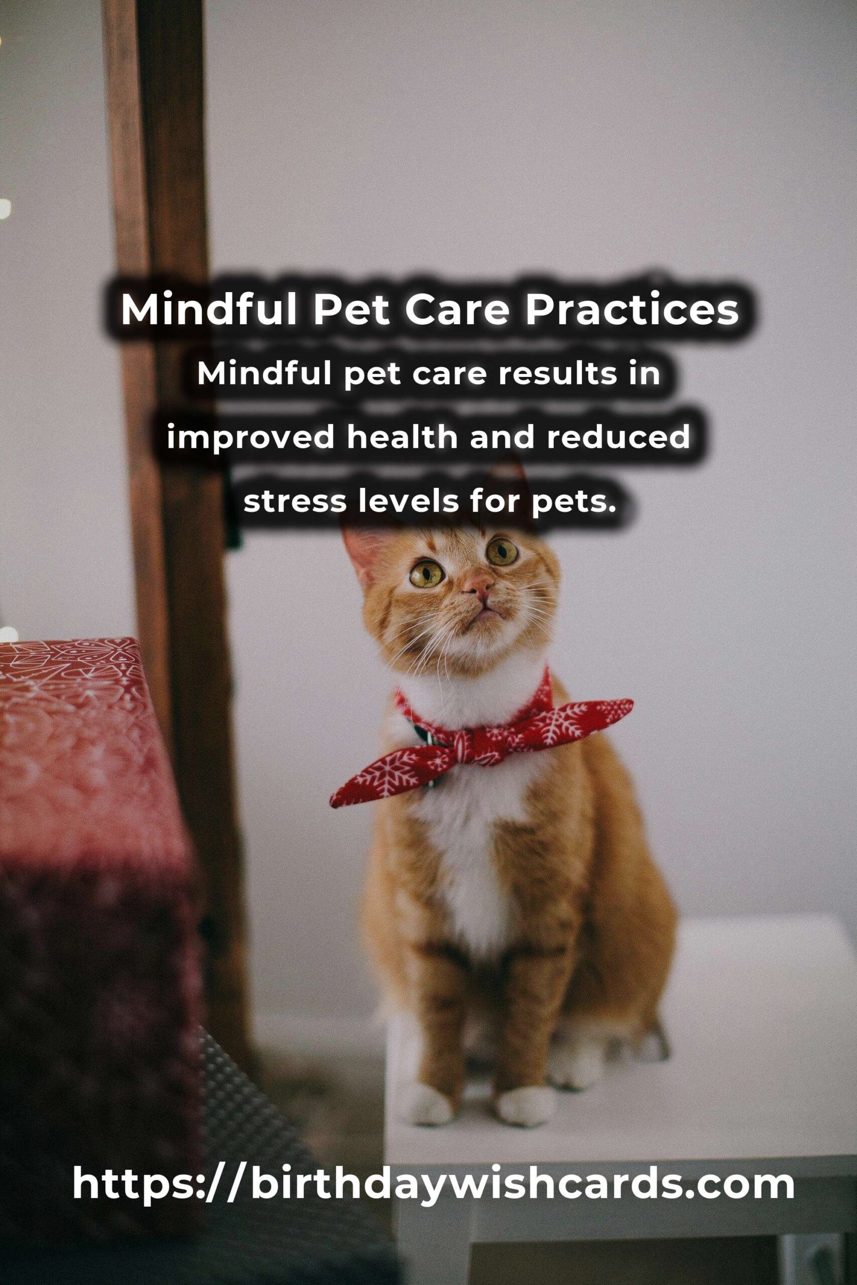 Understanding the Basics of Mindful Pet Care