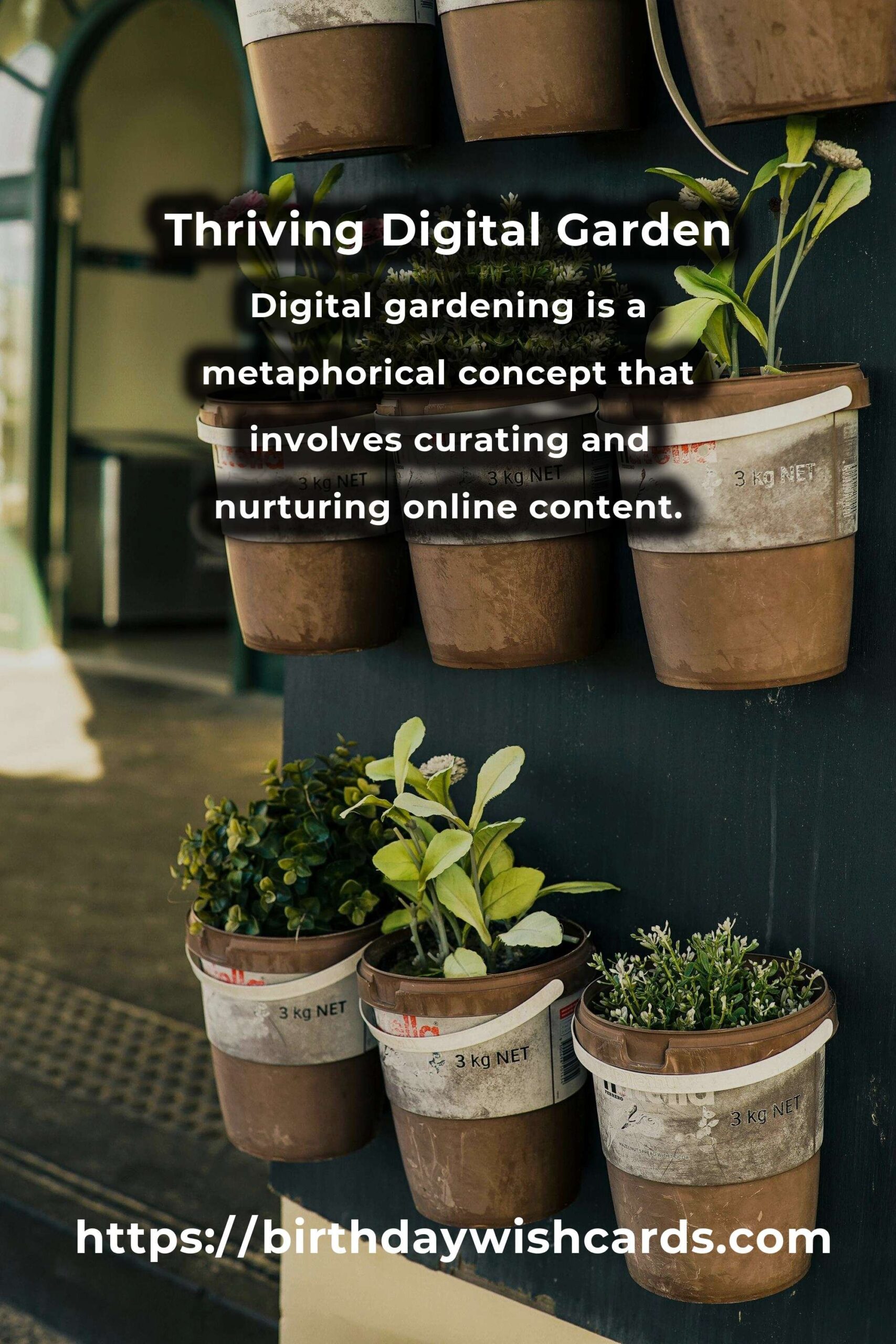 Understanding the Science Behind Effective Digital Gardening Tips