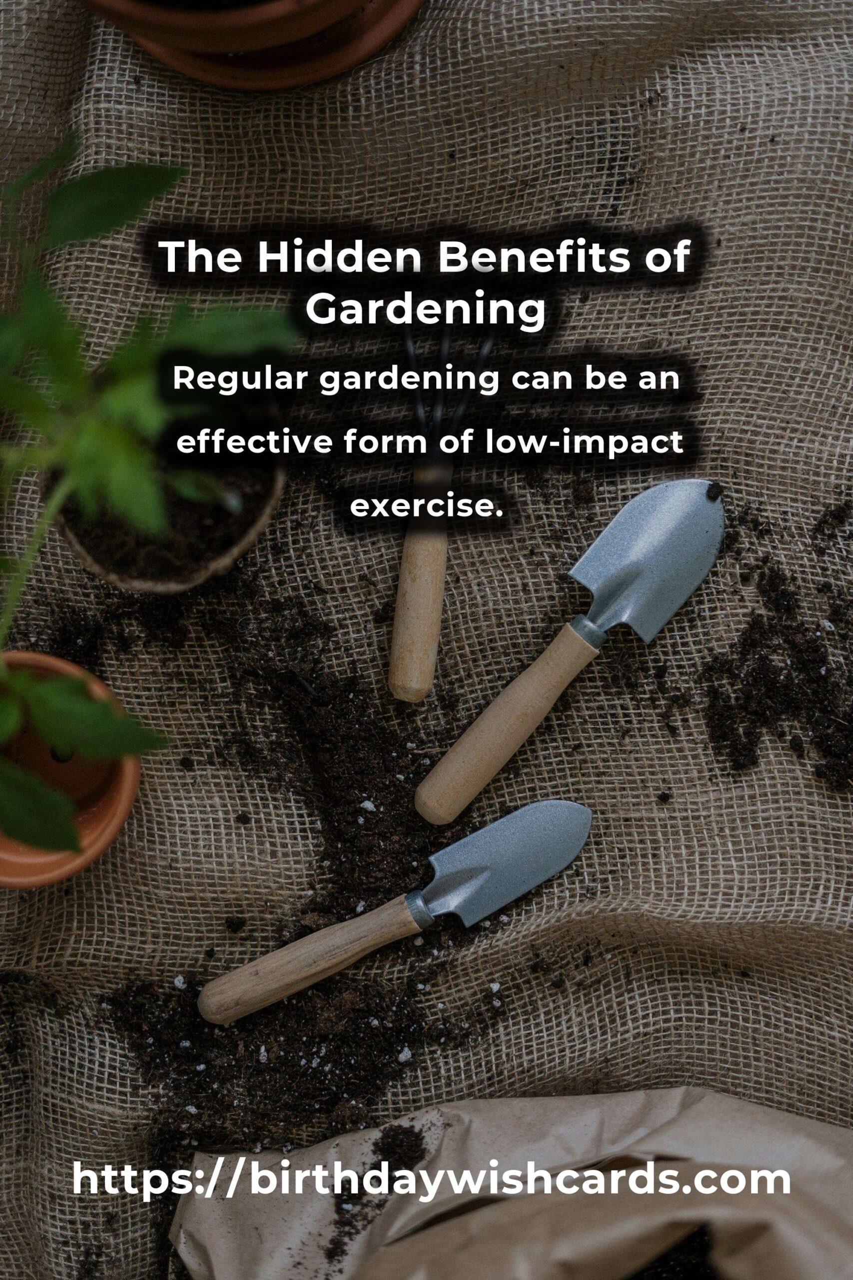 Unlocking the Secrets: The Hidden Benefits of Gardening