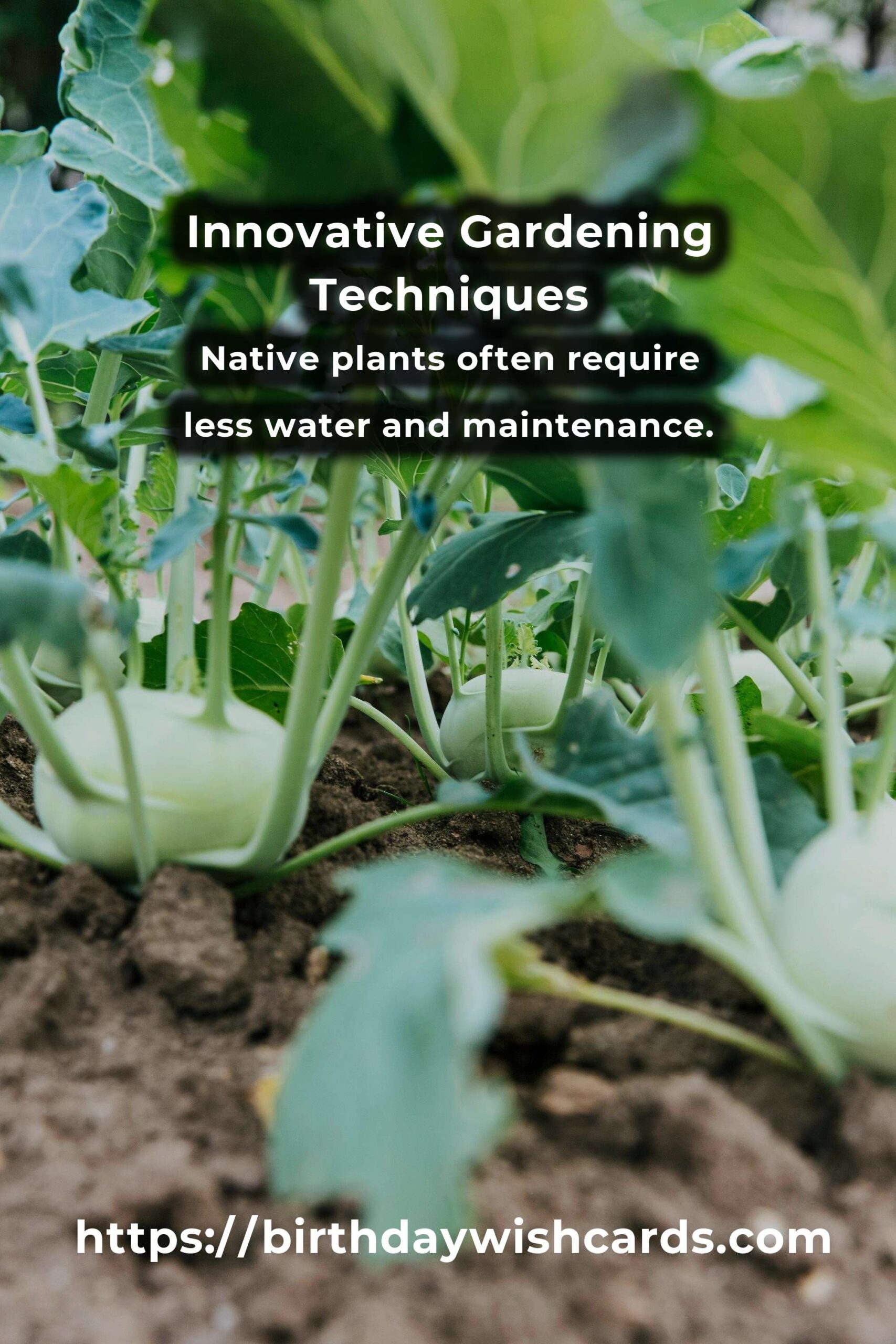 Your Comprehensive Checklist for Innovative Gardening Tips