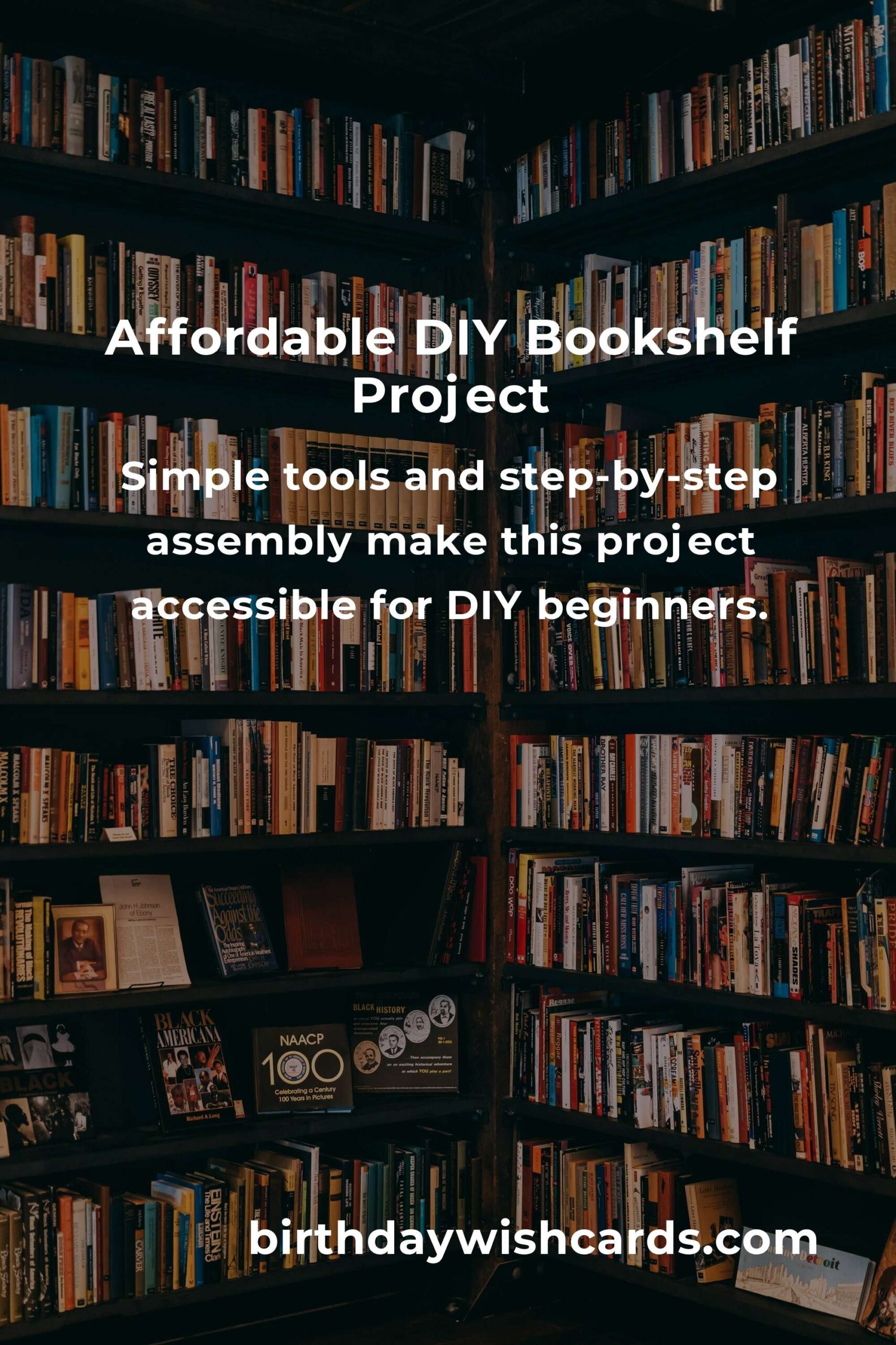 How to Build a Bookshelf on a Budget in Salvador: A Complete Guide