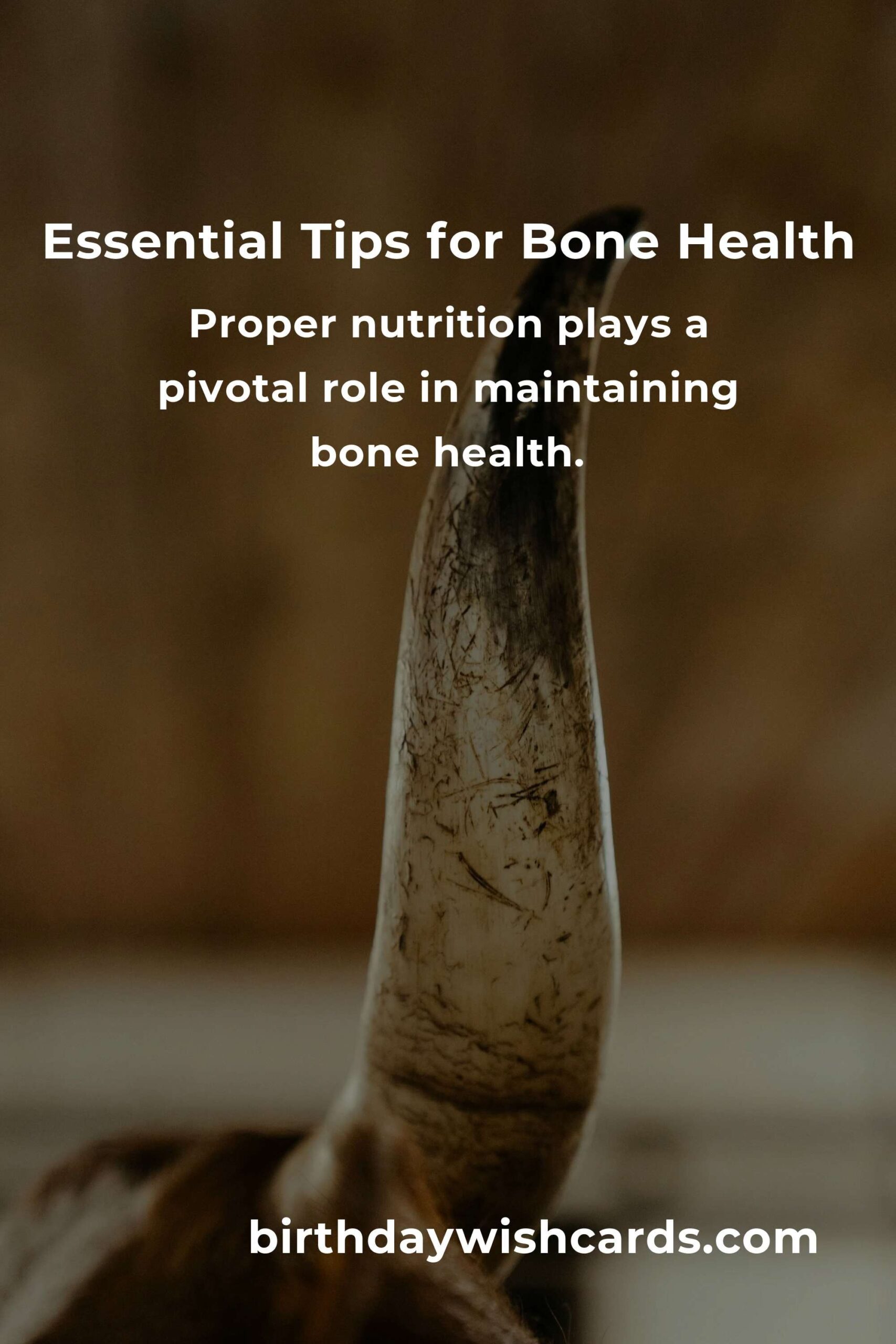38 Essential Tips for Optimizing Bone Health in Your 40s