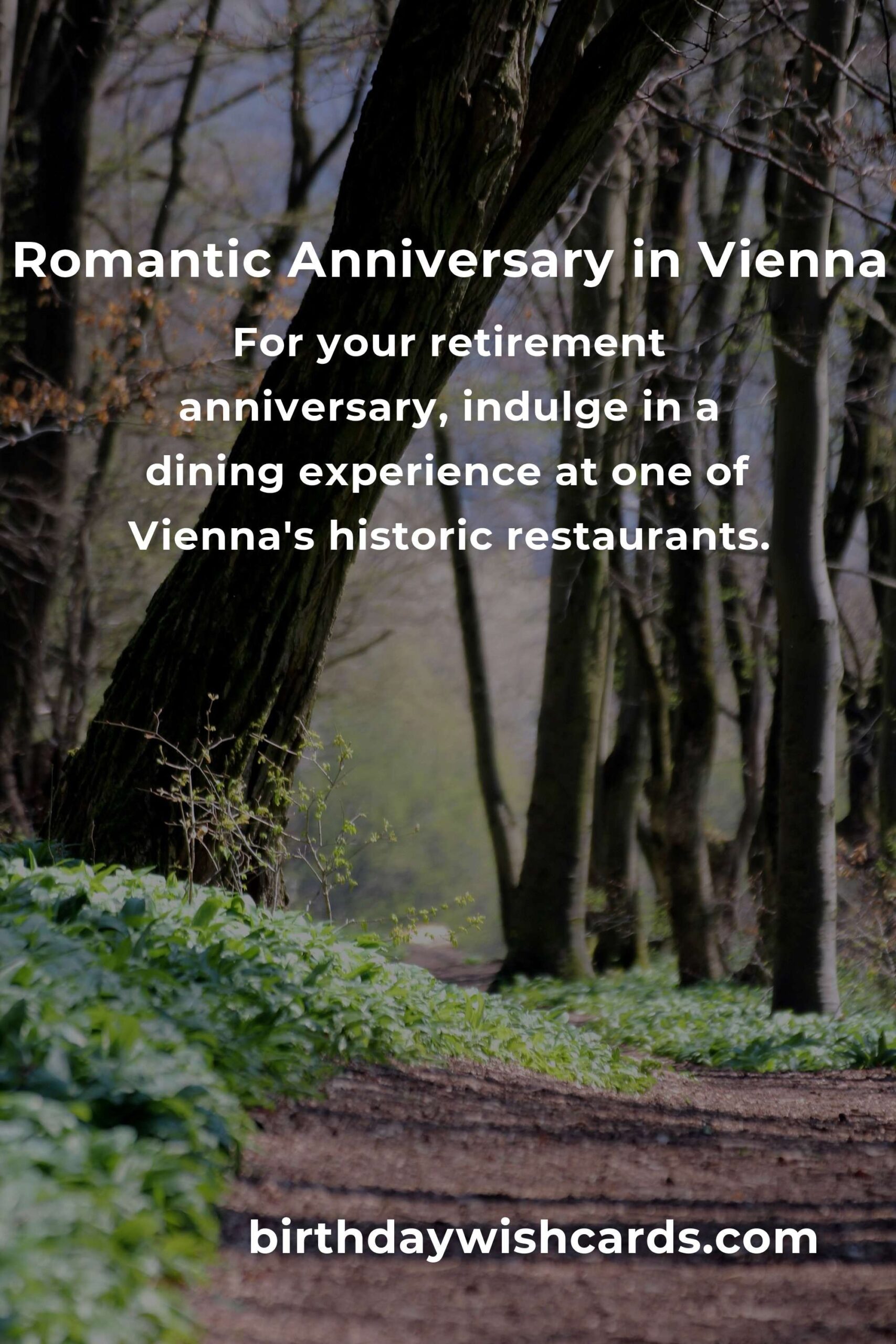 4 Unforgettable Retirement Anniversary Ideas for Couples in Vienna