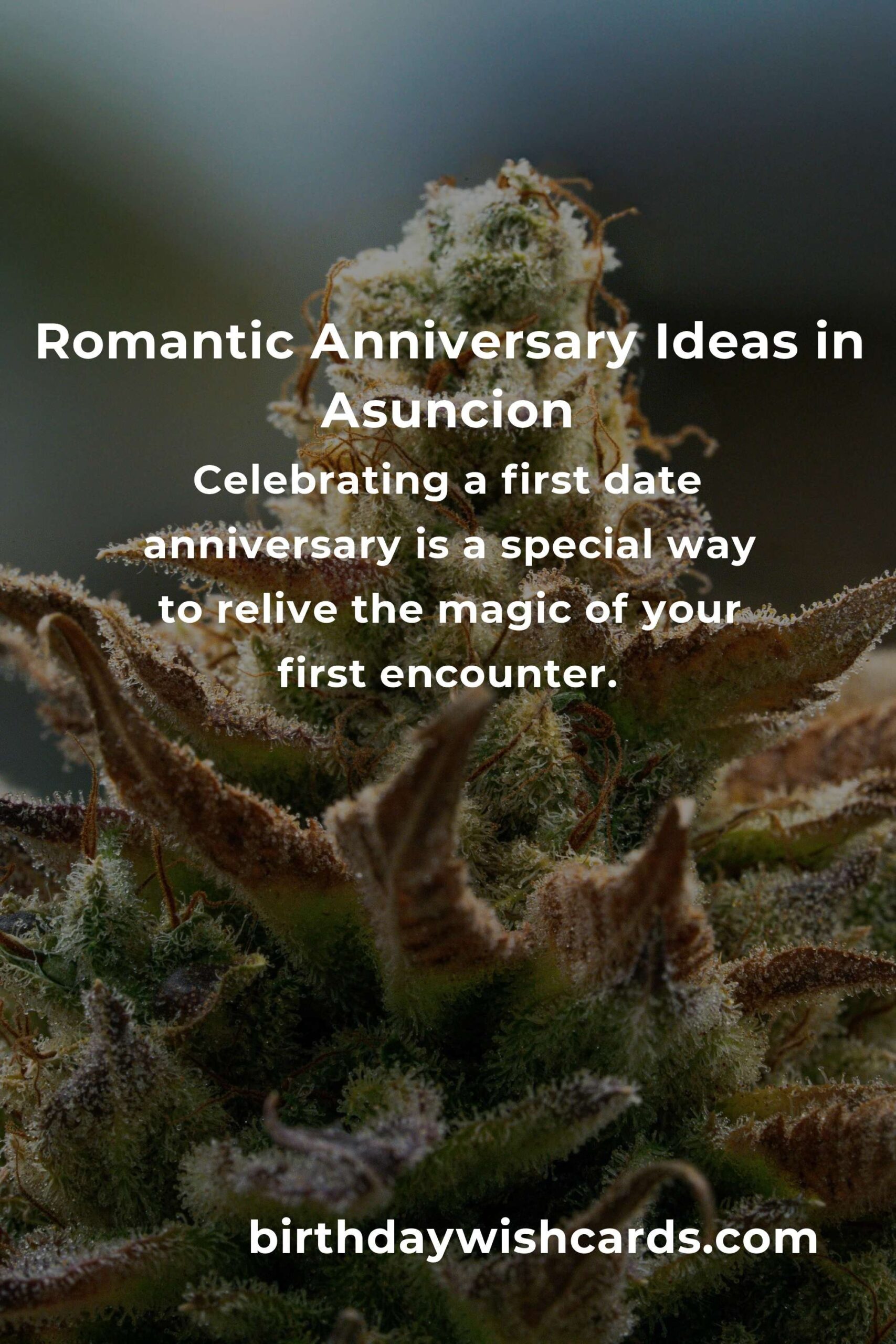 47 Memorable First Date Anniversary Ideas for Couples in Asuncion