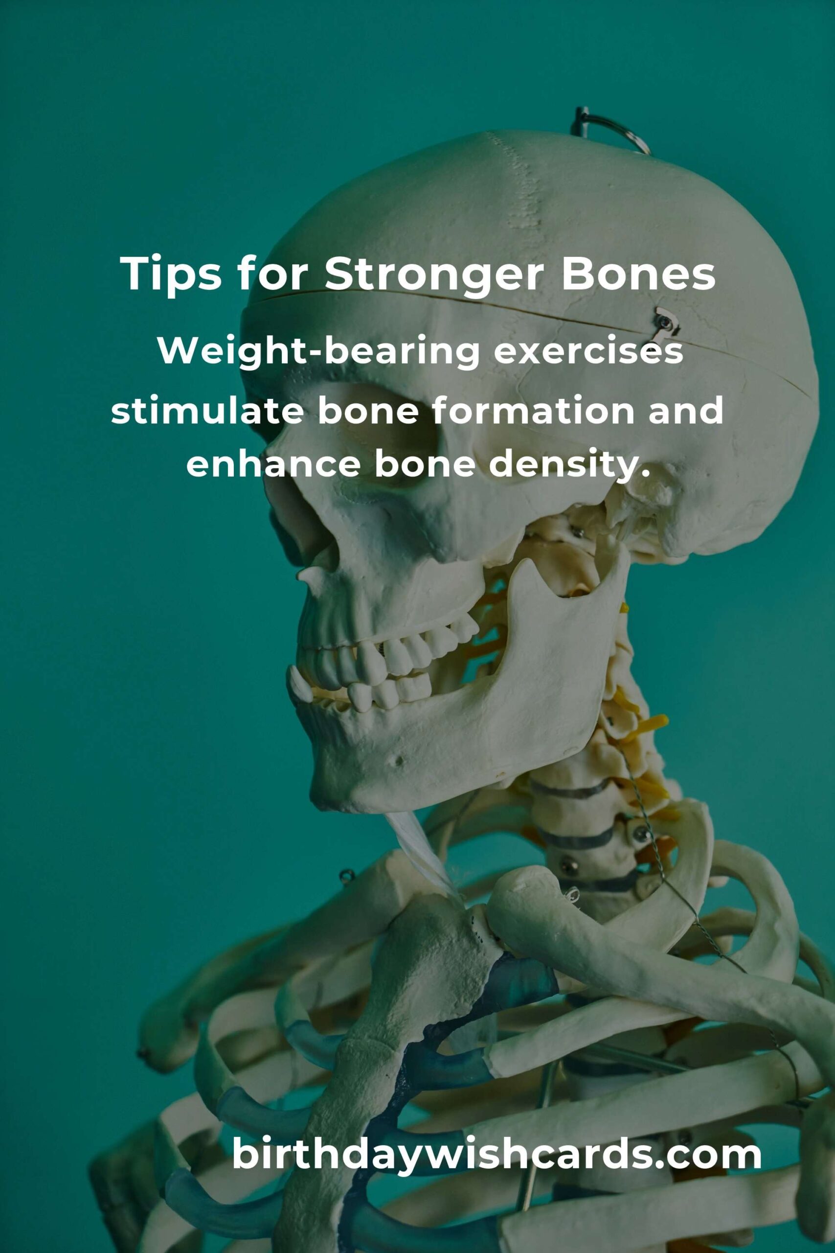 7 Essential Tips for Optimal Bone Health in Your 20s
