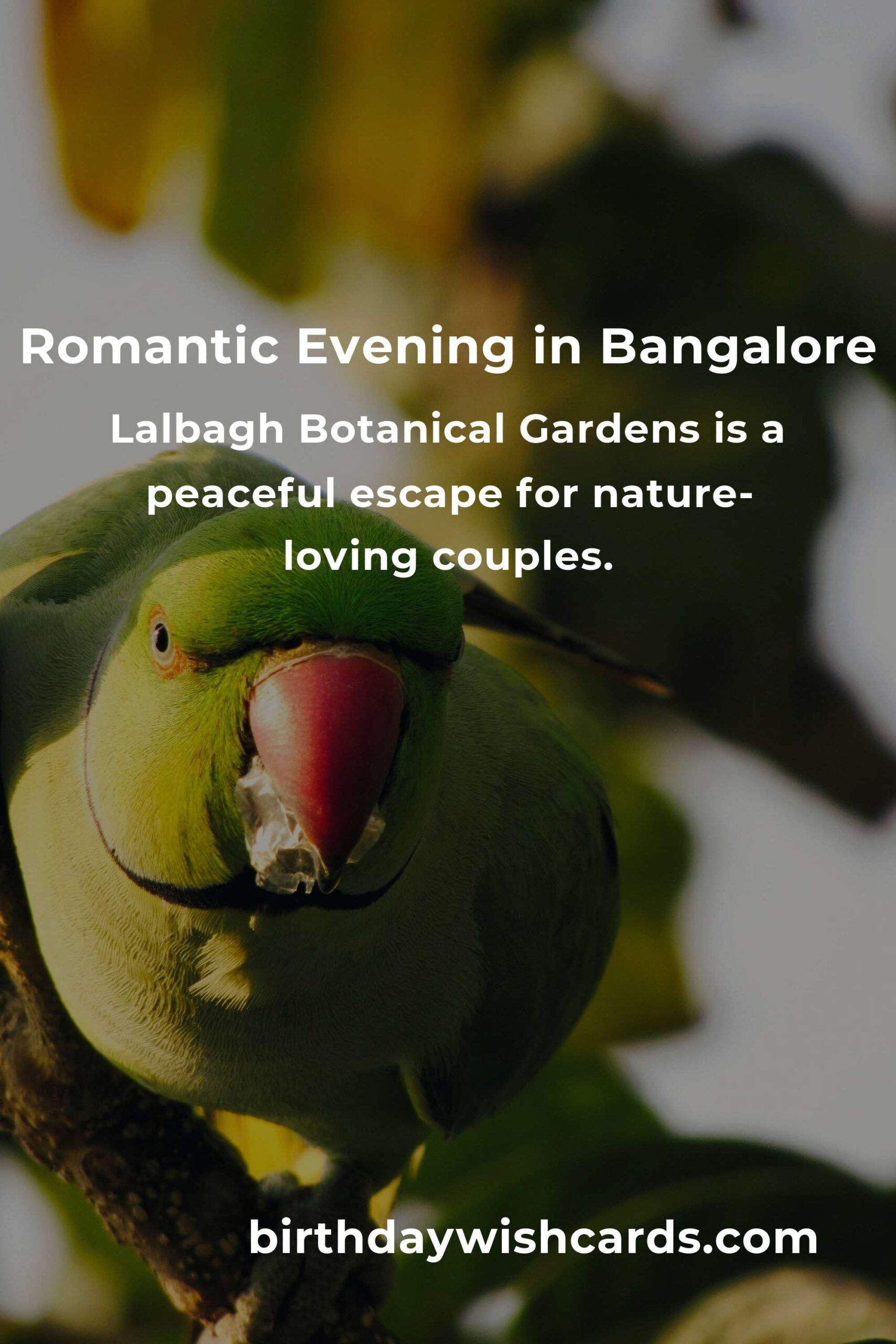 9 First Date Anniversary Ideas for Couples in Bangalore
