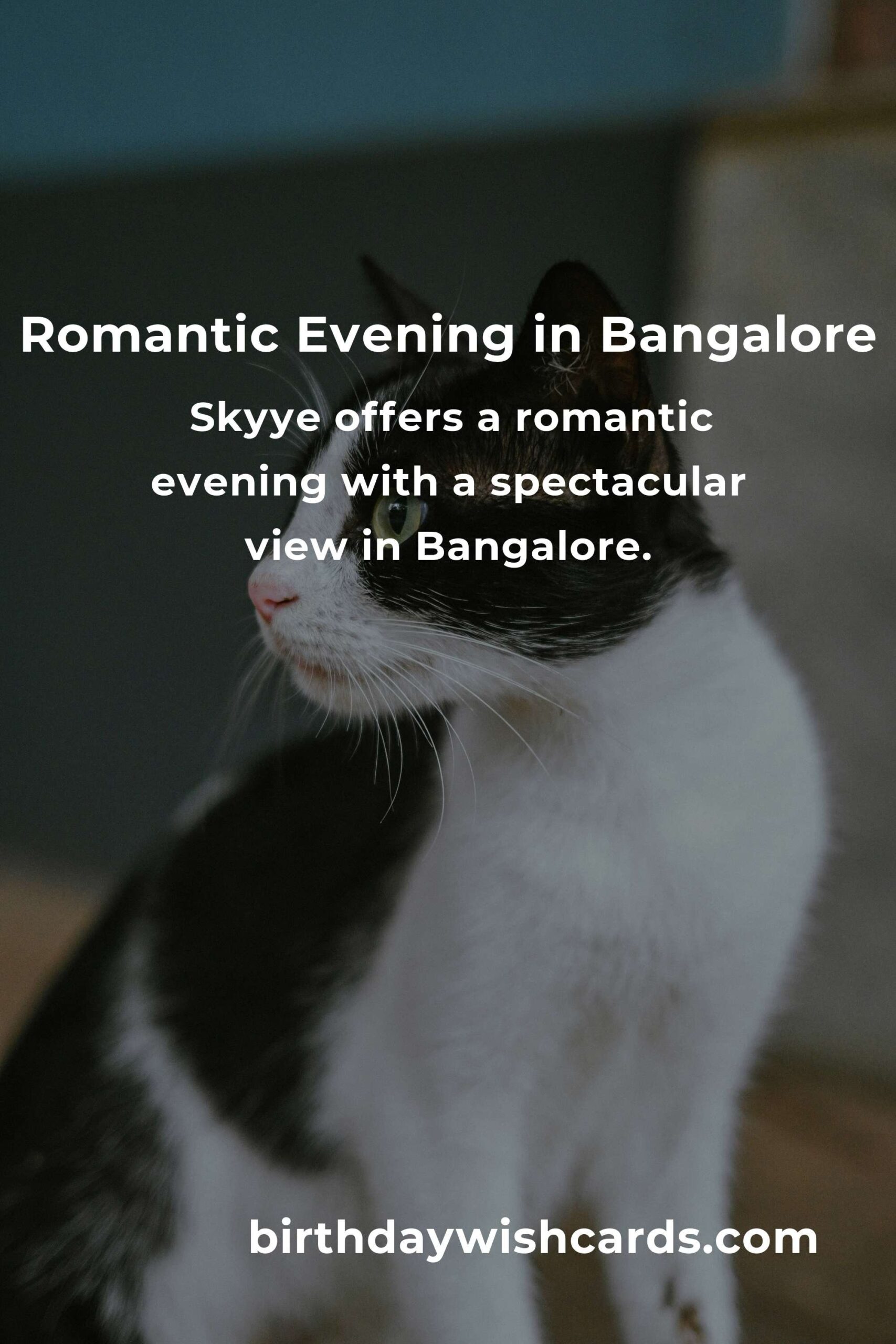9 First Date Anniversary Ideas for Couples in Bangalore