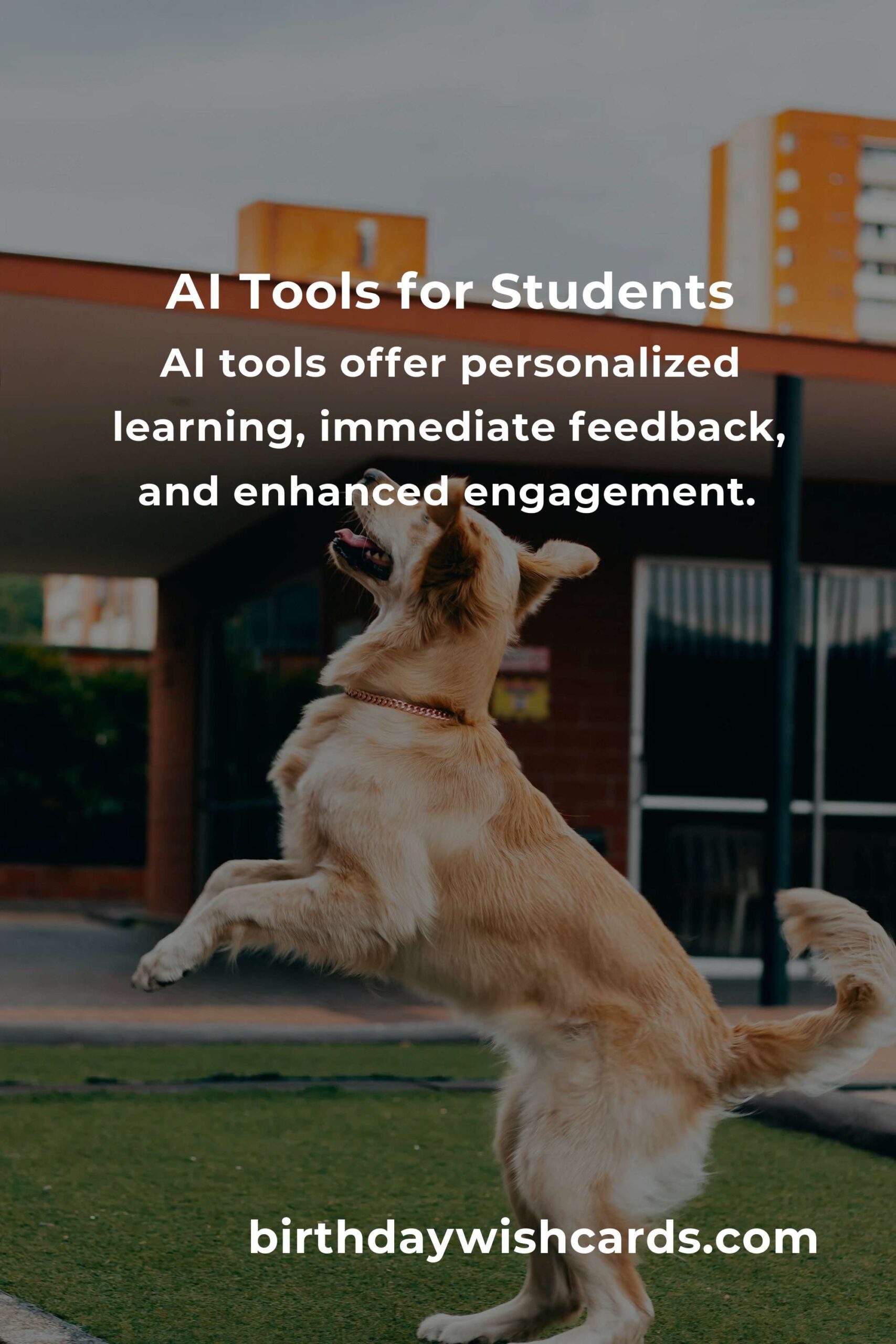 AI Tools: A Comprehensive Guide for Students