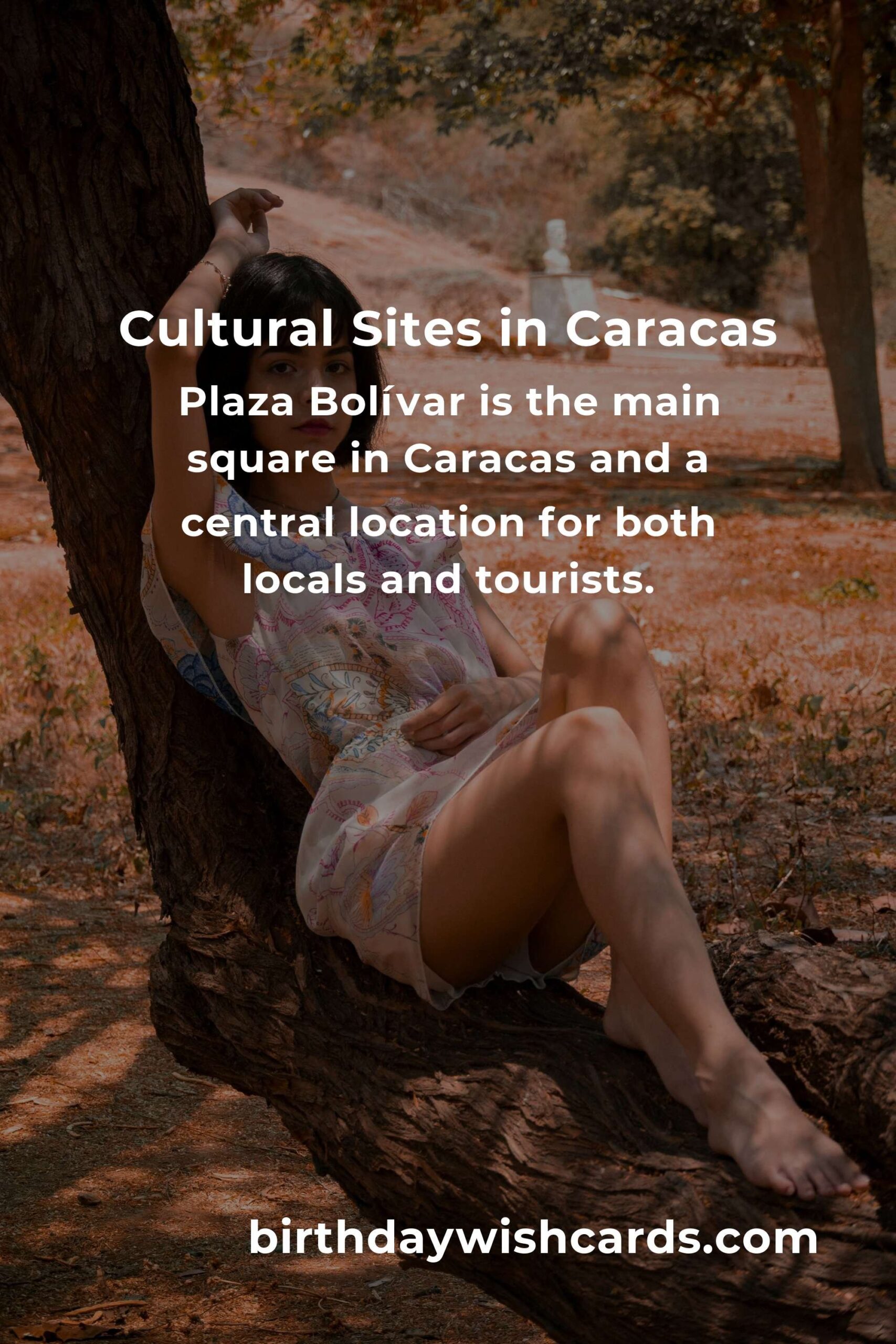 Affordable Cultural Experiences in Caracas: A Budget Guide