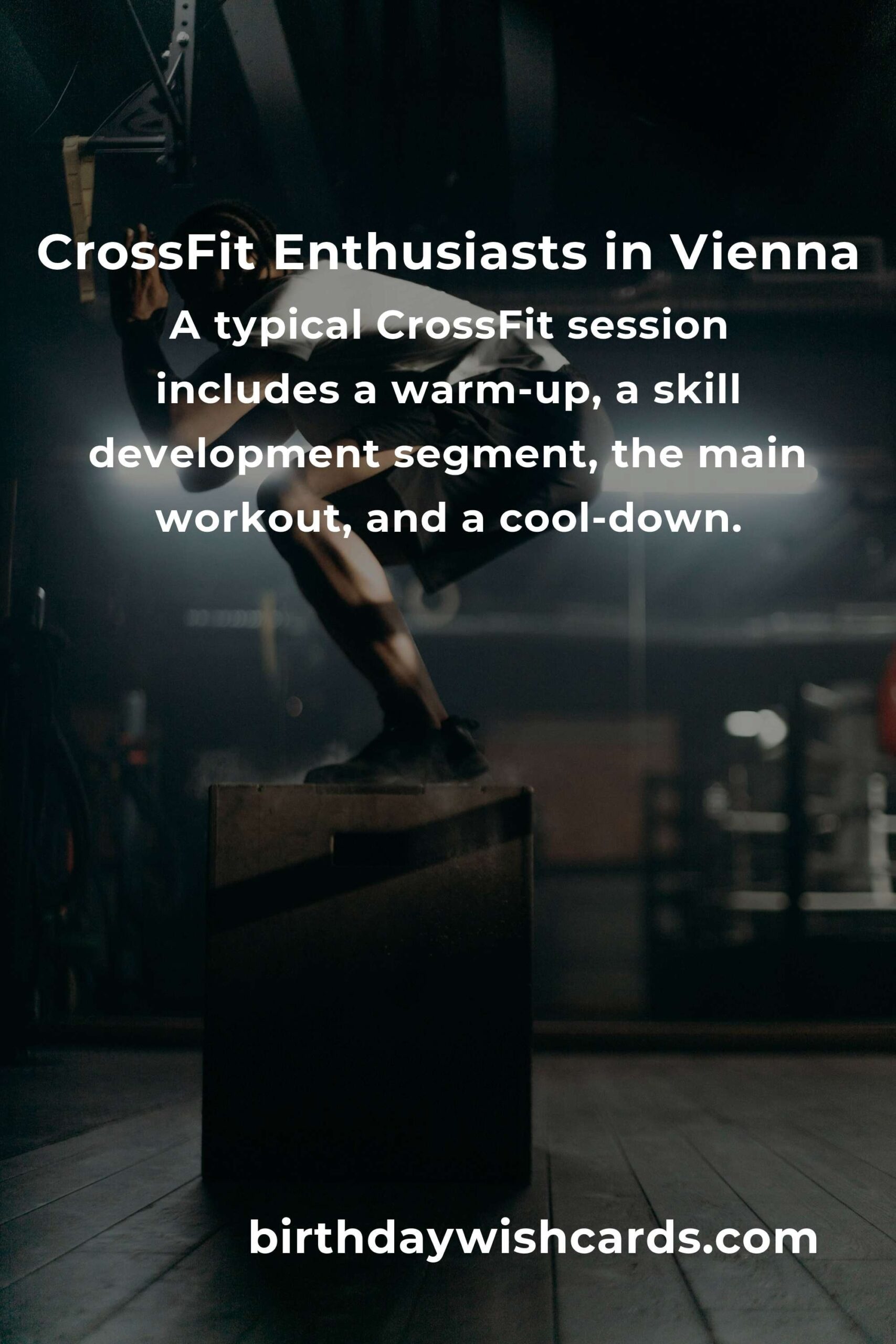 Beginner's Guide to CrossFit in Vienna: Your Path to Fitness