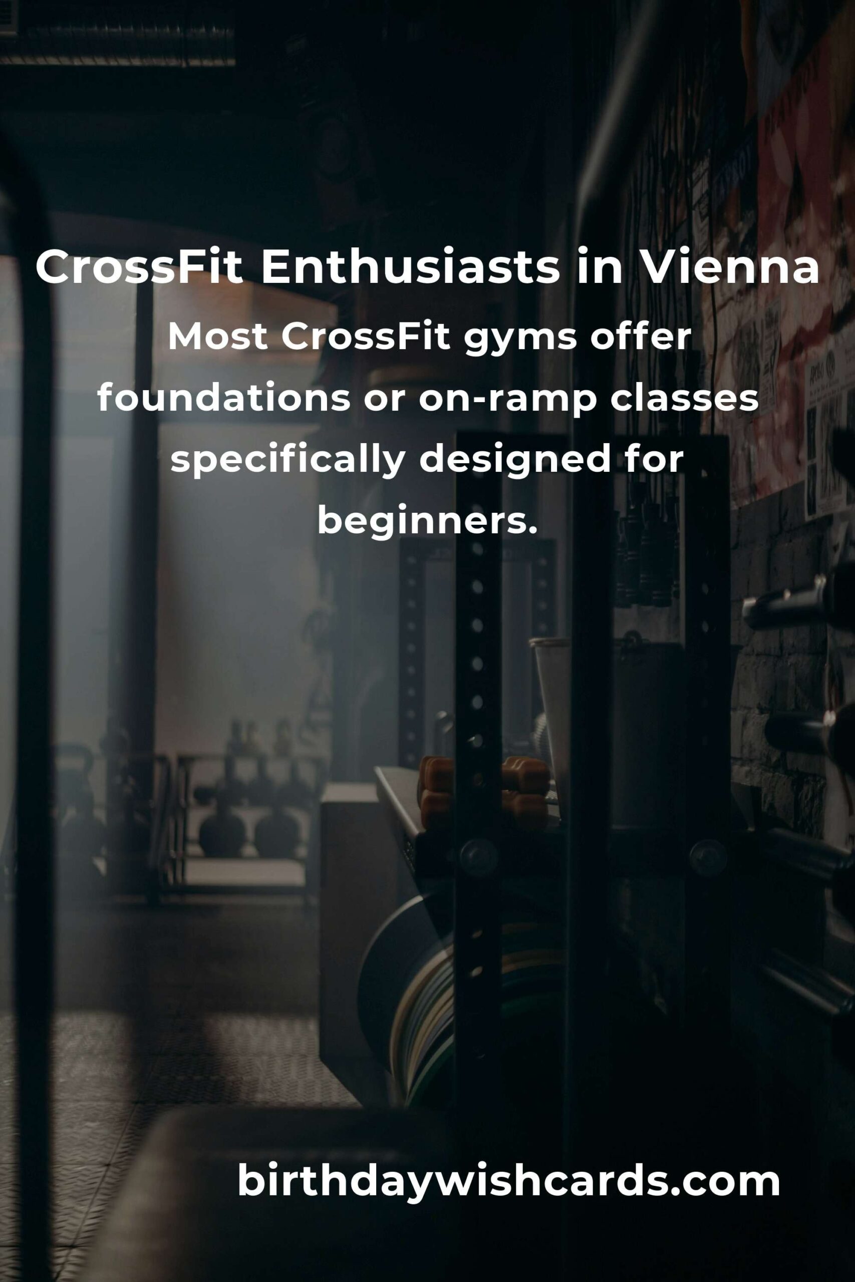 Beginner's Guide to CrossFit in Vienna: Your Path to Fitness
