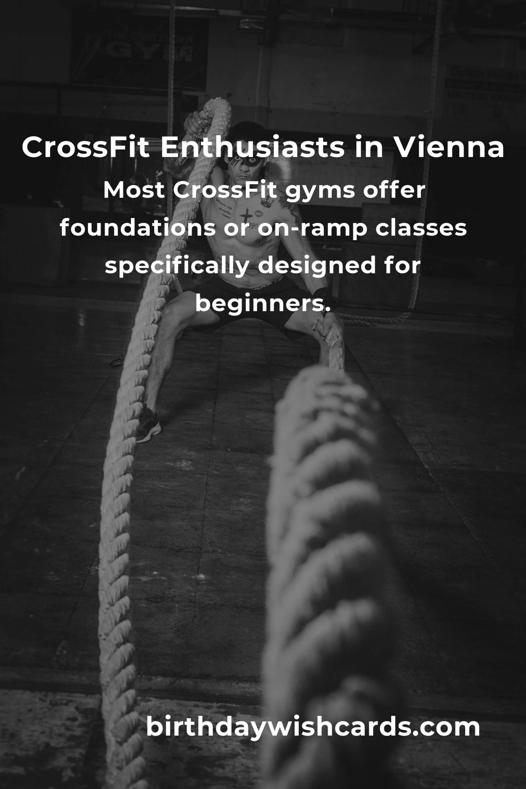 Beginner's Guide to CrossFit in Vienna: Your Path to Fitness